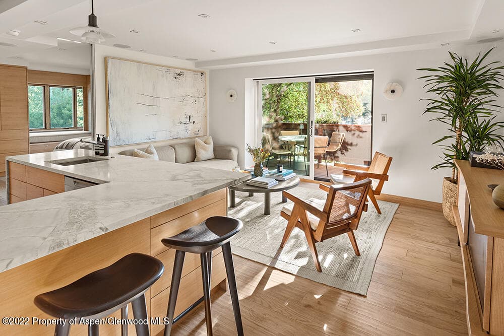 119 E Cooper Avenue 15, Aspen, CO 81611 - Photo 5