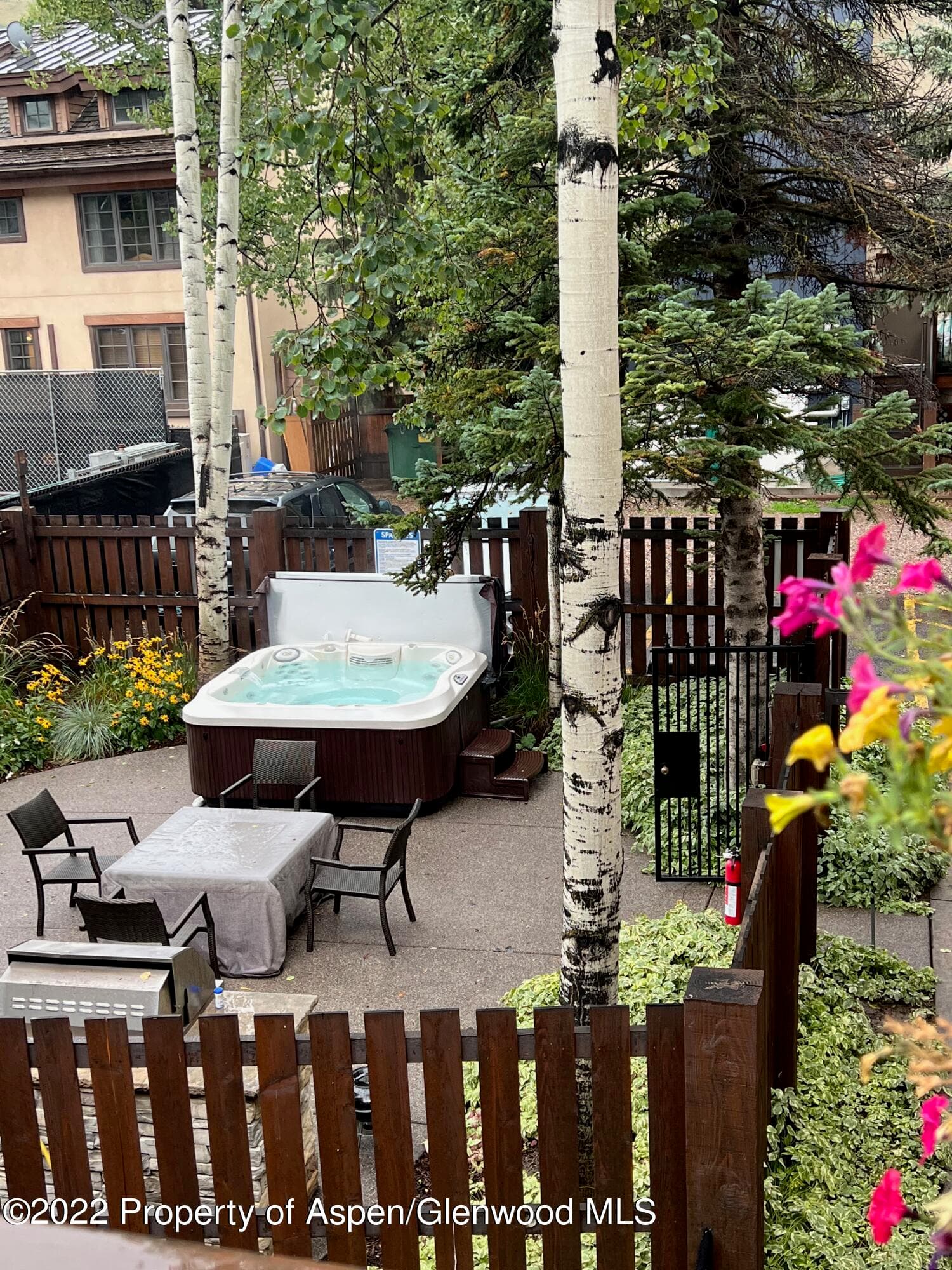 119 E Cooper Avenue 22, Aspen, CO 81611 - Photo 9