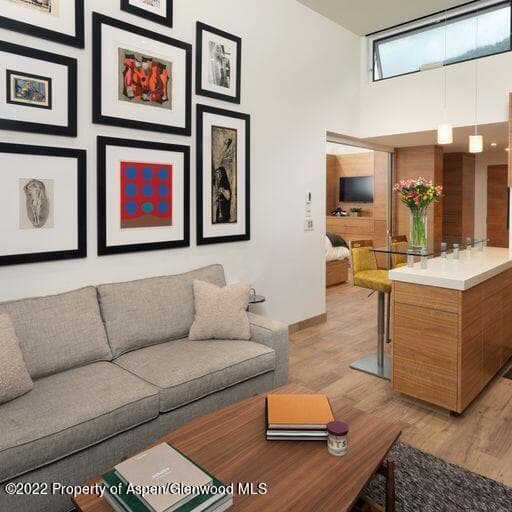 119 E Cooper Avenue 22, Aspen, CO 81611