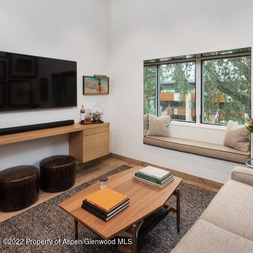 119 E Cooper Avenue 22, Aspen, CO 81611 - Photo 2