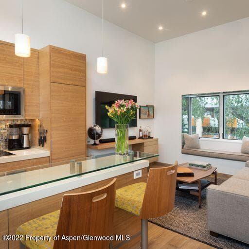 119 E Cooper Avenue 22, Aspen, CO 81611 - Photo 4