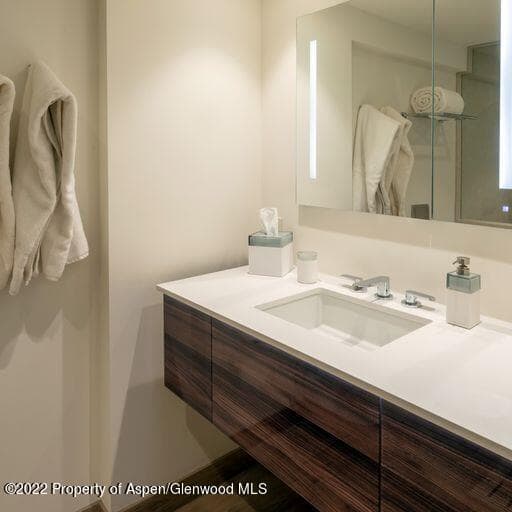 119 E Cooper Avenue 22, Aspen, CO 81611 - Photo 6