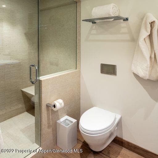 119 E Cooper Avenue 22, Aspen, CO 81611 - Photo 7