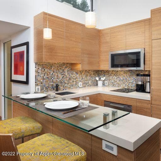 119 E Cooper Avenue 22, Aspen, CO 81611 - Photo 3