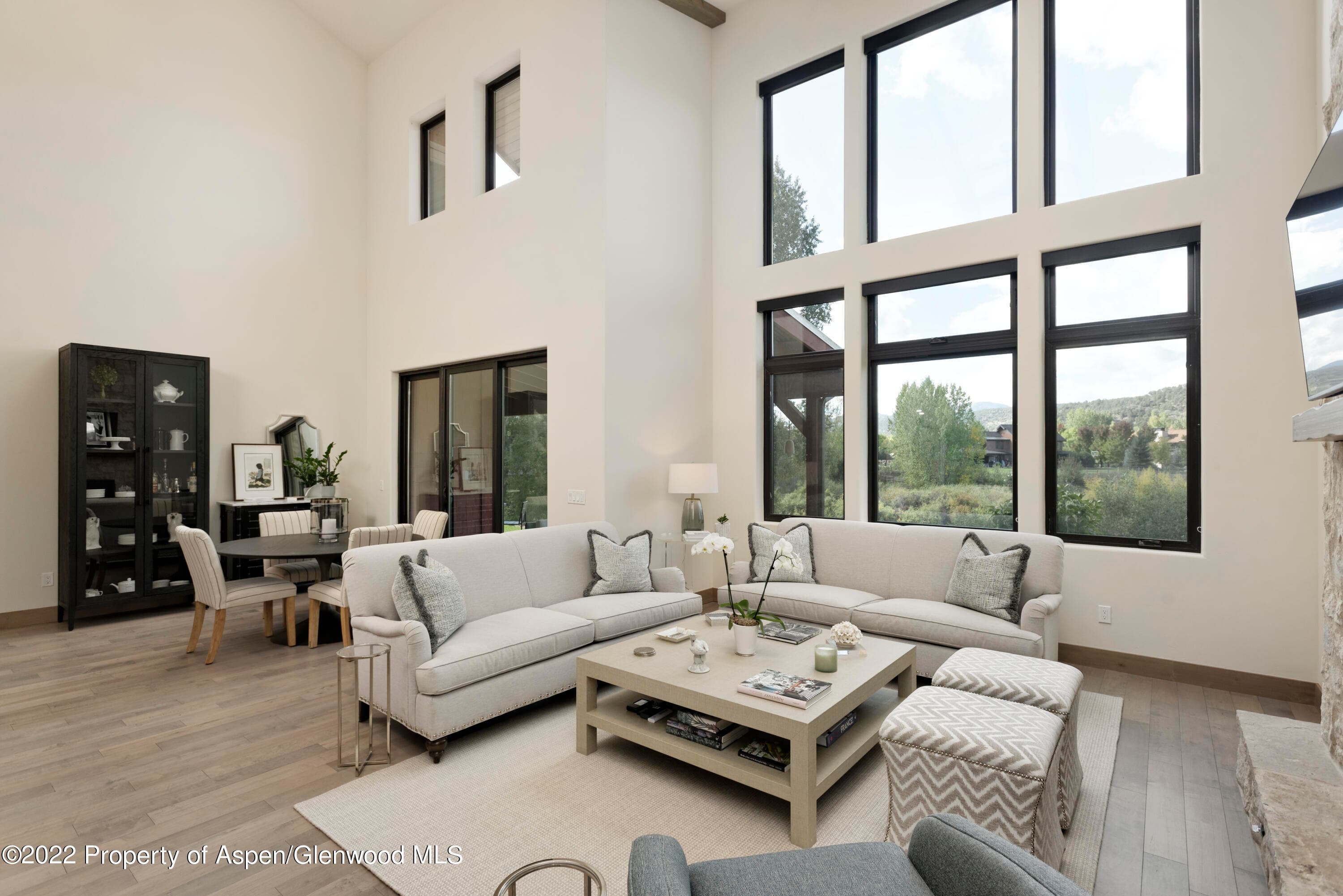 471 BOUNDARY Lane, Carbondale, CO 81623 - Photo 5