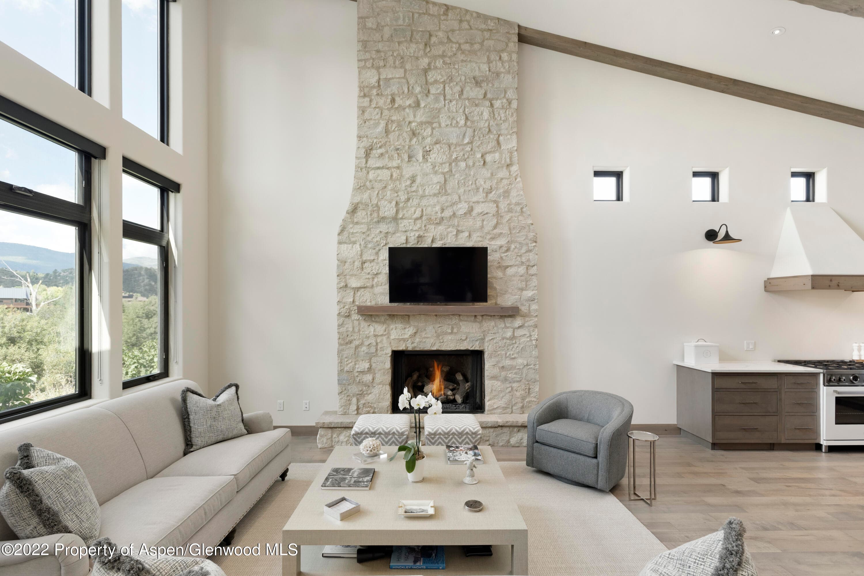 471 BOUNDARY Lane, Carbondale, CO 81623 - Photo 8