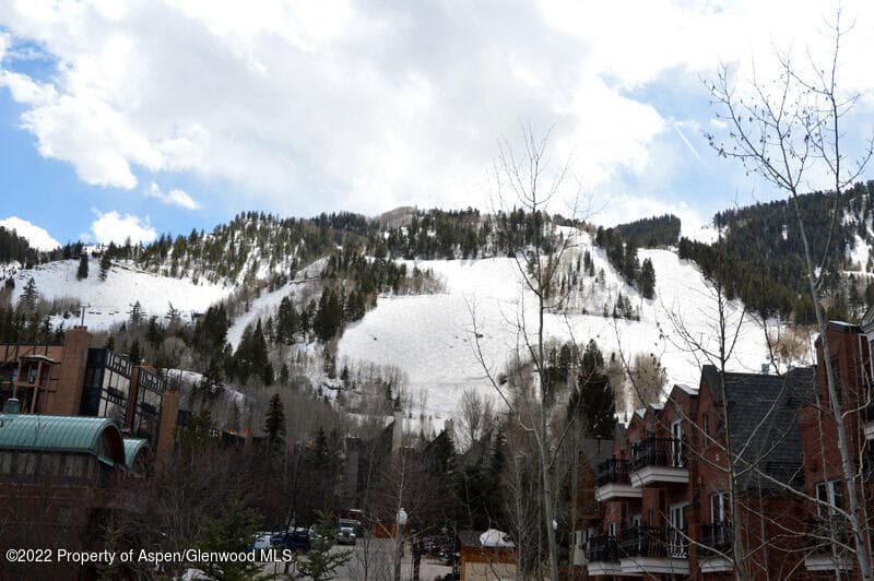 415 E Dean Street Unit 19 Week 10, Aspen, CO 81611 - Photo 16