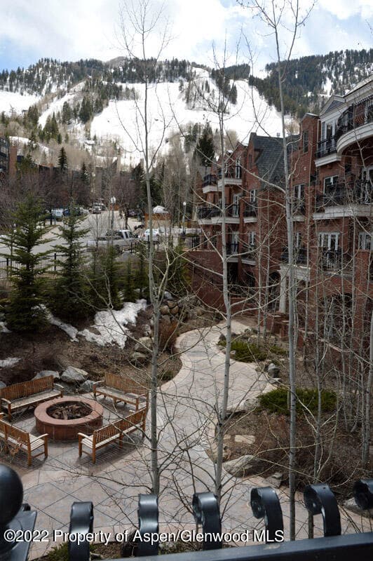 415 E Dean Street Unit 19 Week 10, Aspen, CO 81611 - Photo 17