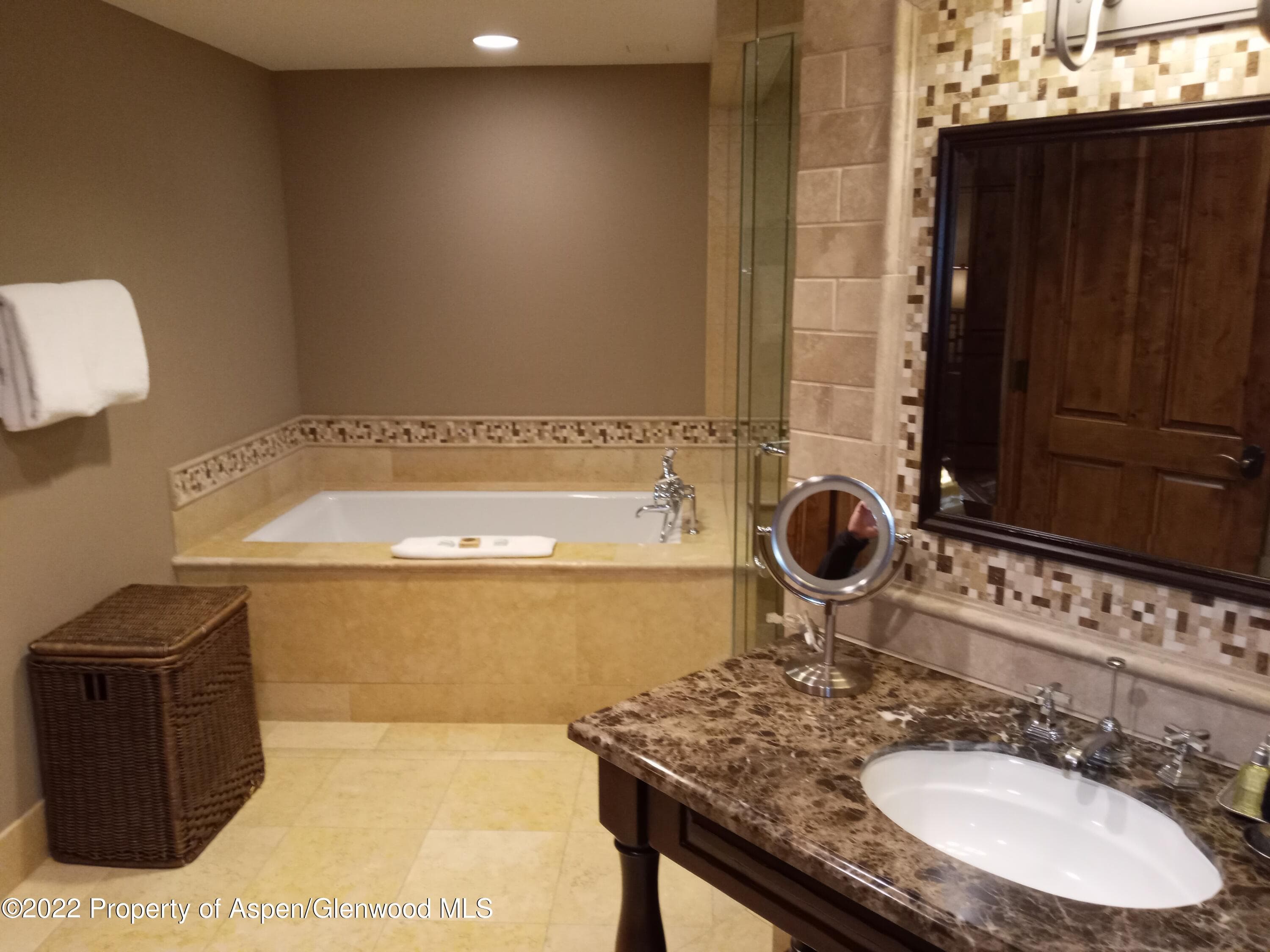415 E Dean Street Unit 19 Week 10, Aspen, CO 81611 - Photo 7