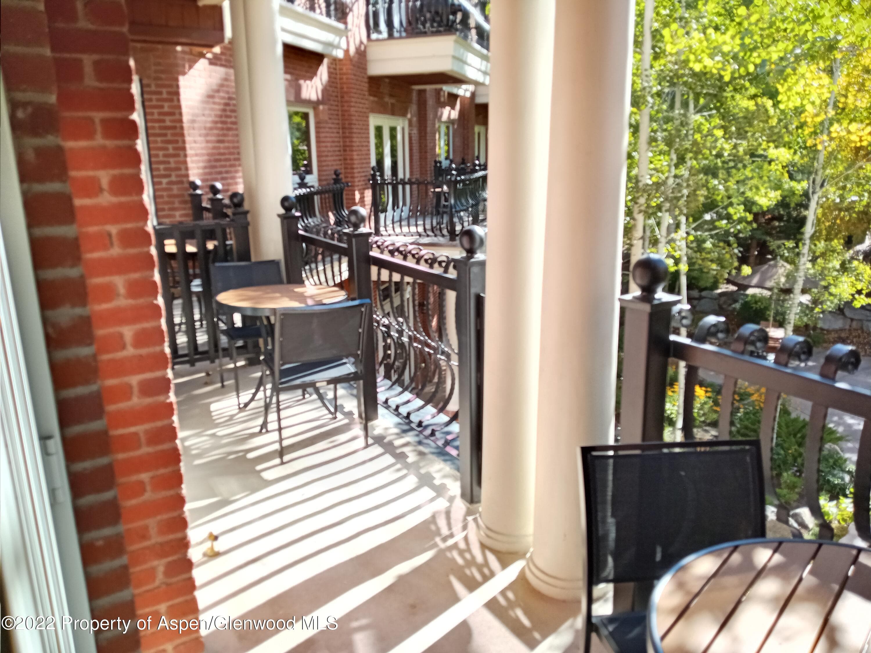 415 E Dean Street Unit 19 Week 10, Aspen, CO 81611 - Photo 22