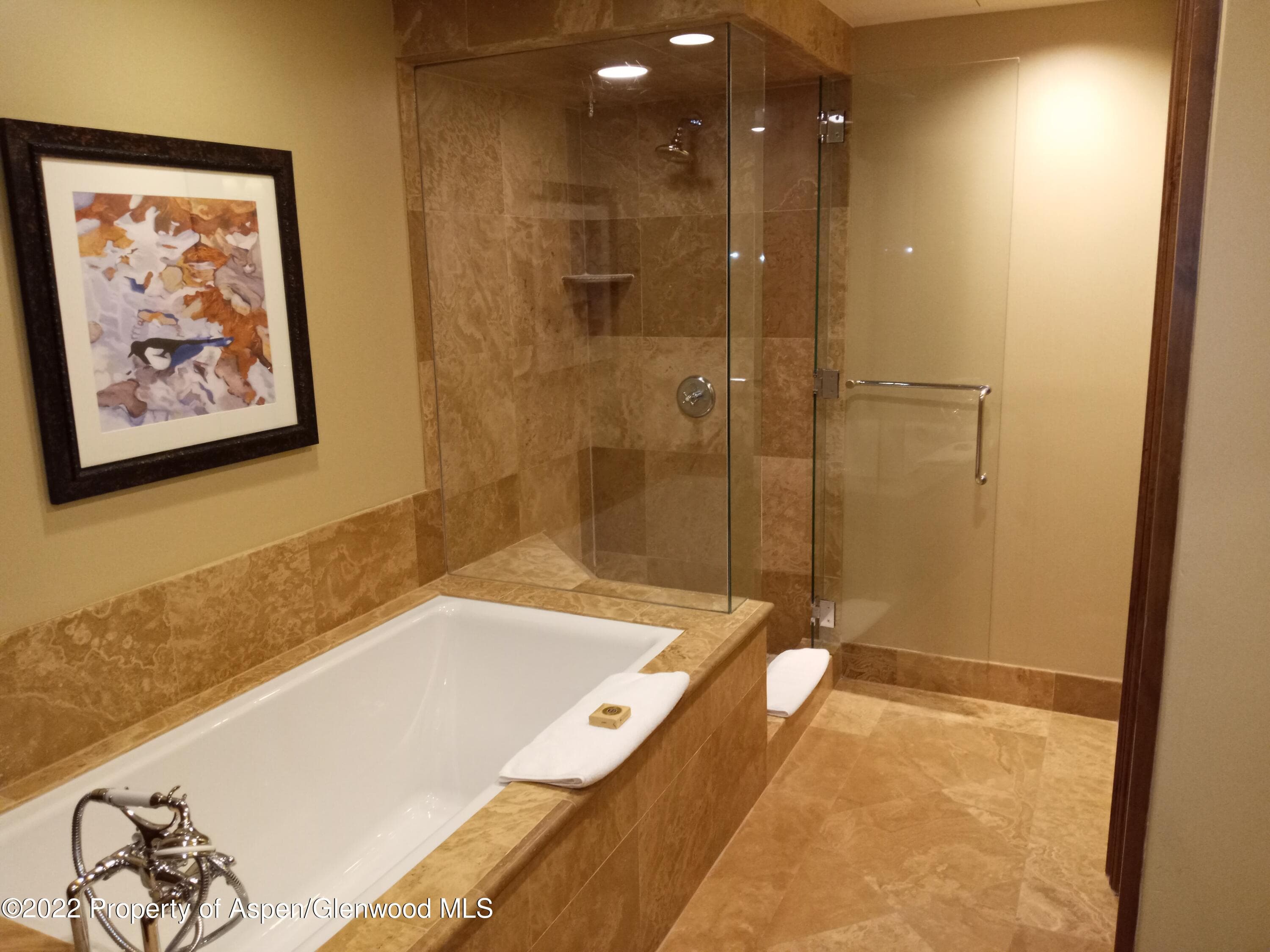 415 E Dean Street Unit 19 Week 9, Aspen, CO 81611 - Photo 9
