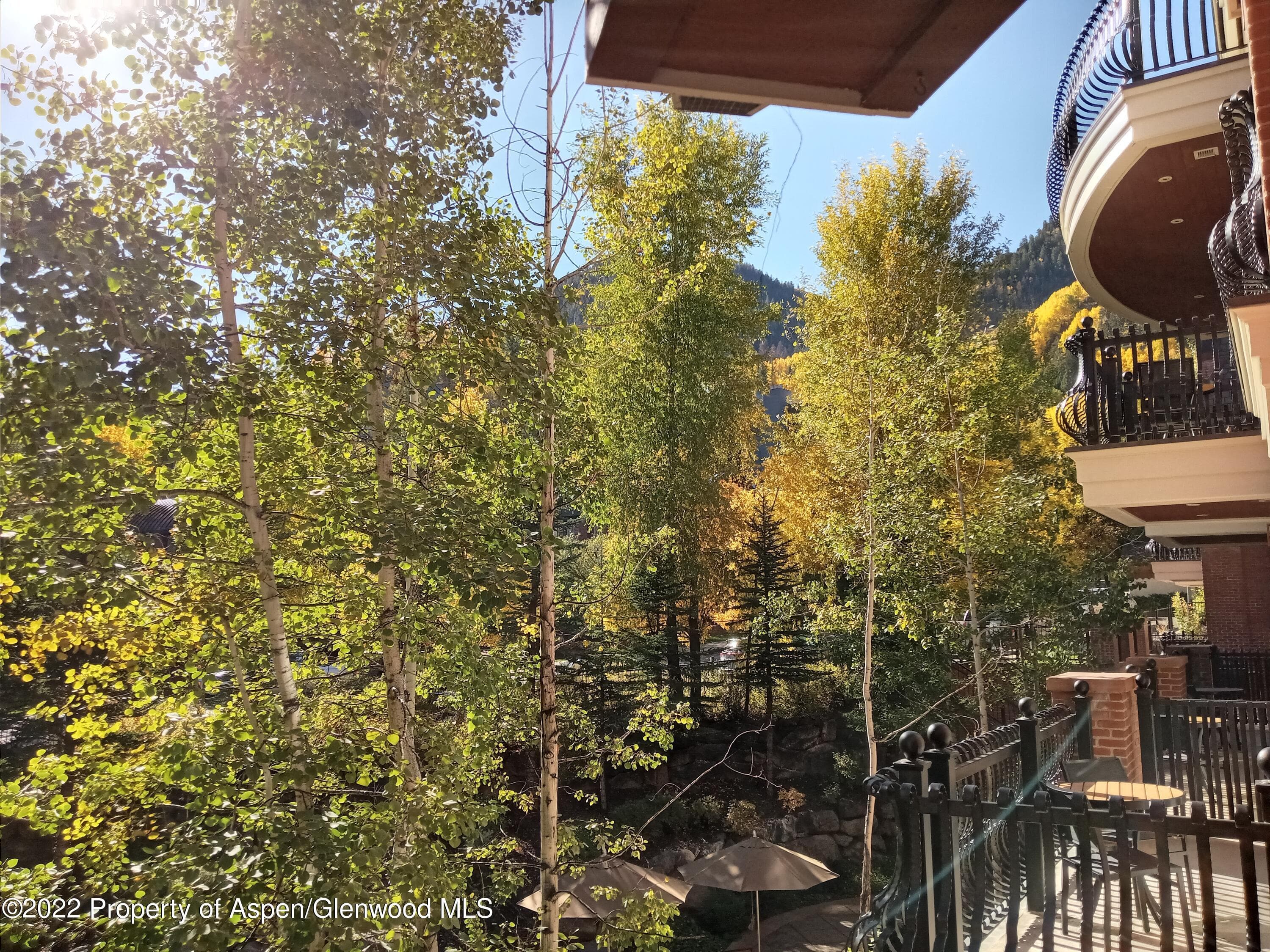 415 E Dean Street Unit 19 Week 9, Aspen, CO 81611 - Photo 21