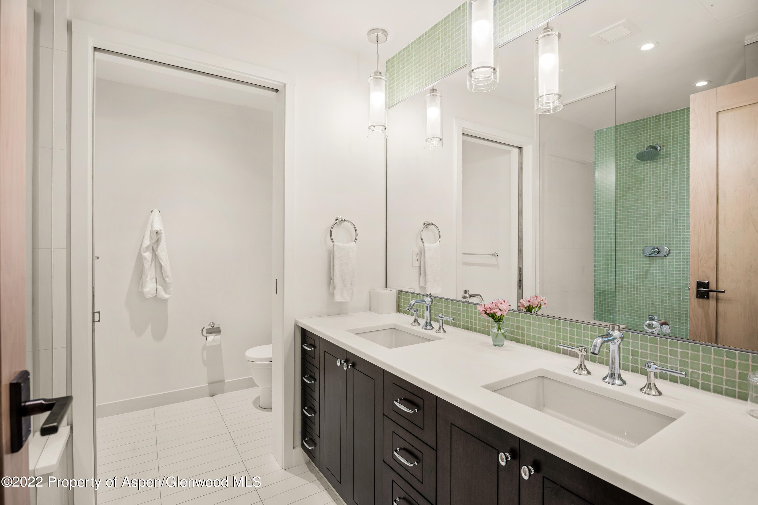 405 S Monarch Street 209, Aspen, CO 81611 - Photo 19