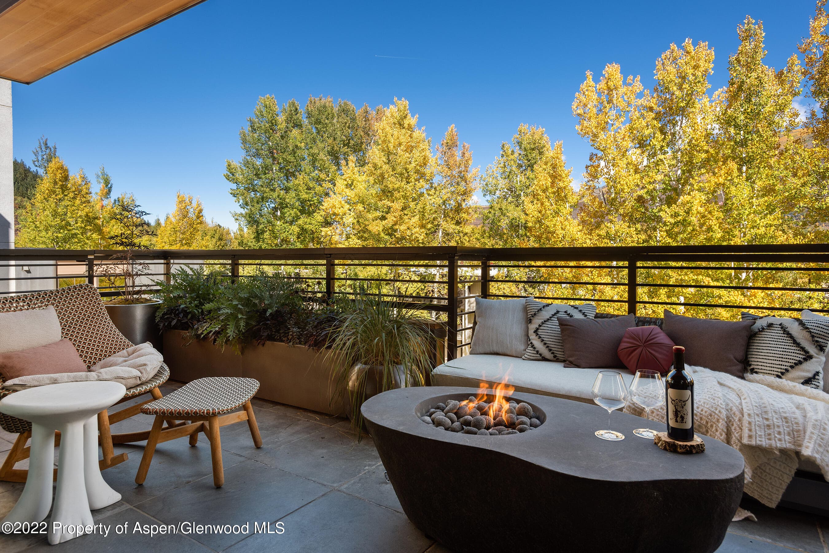 120 Juan Street, Aspen, CO 81611 - Photo 37