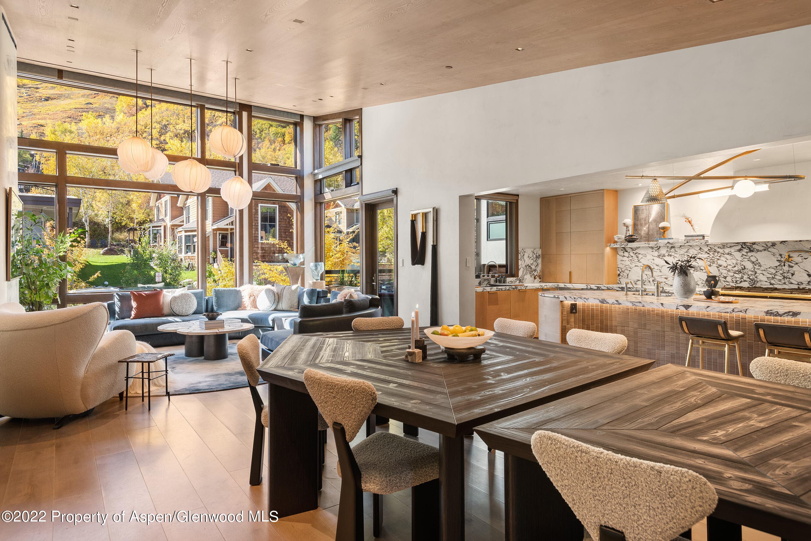 120 Juan Street, Aspen, CO 81611 - Photo 8
