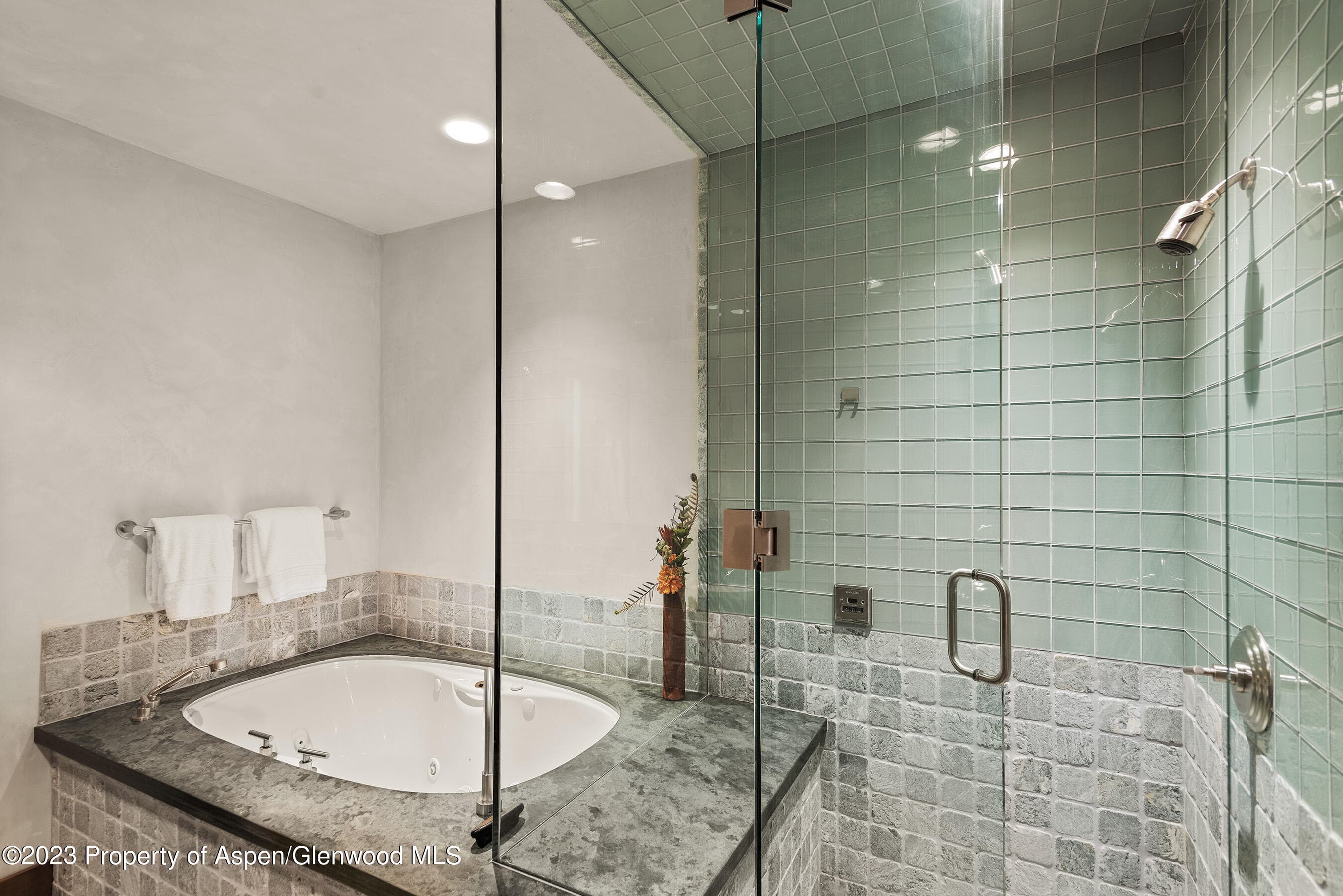 428 E Hyman Avenue A, Aspen, CO 81611 - Photo 22