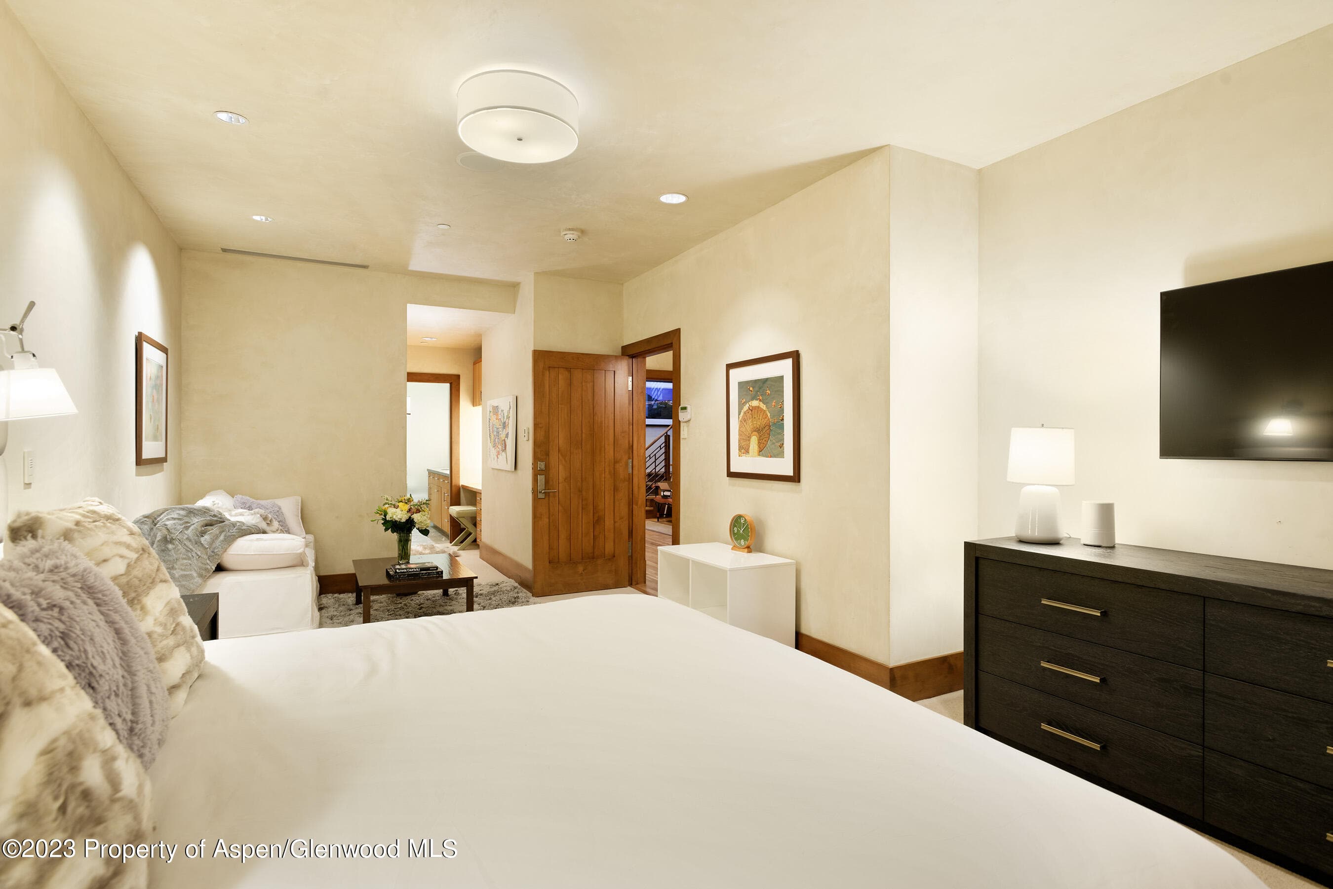 428 E Hyman Avenue A, Aspen, CO 81611 - Photo 19