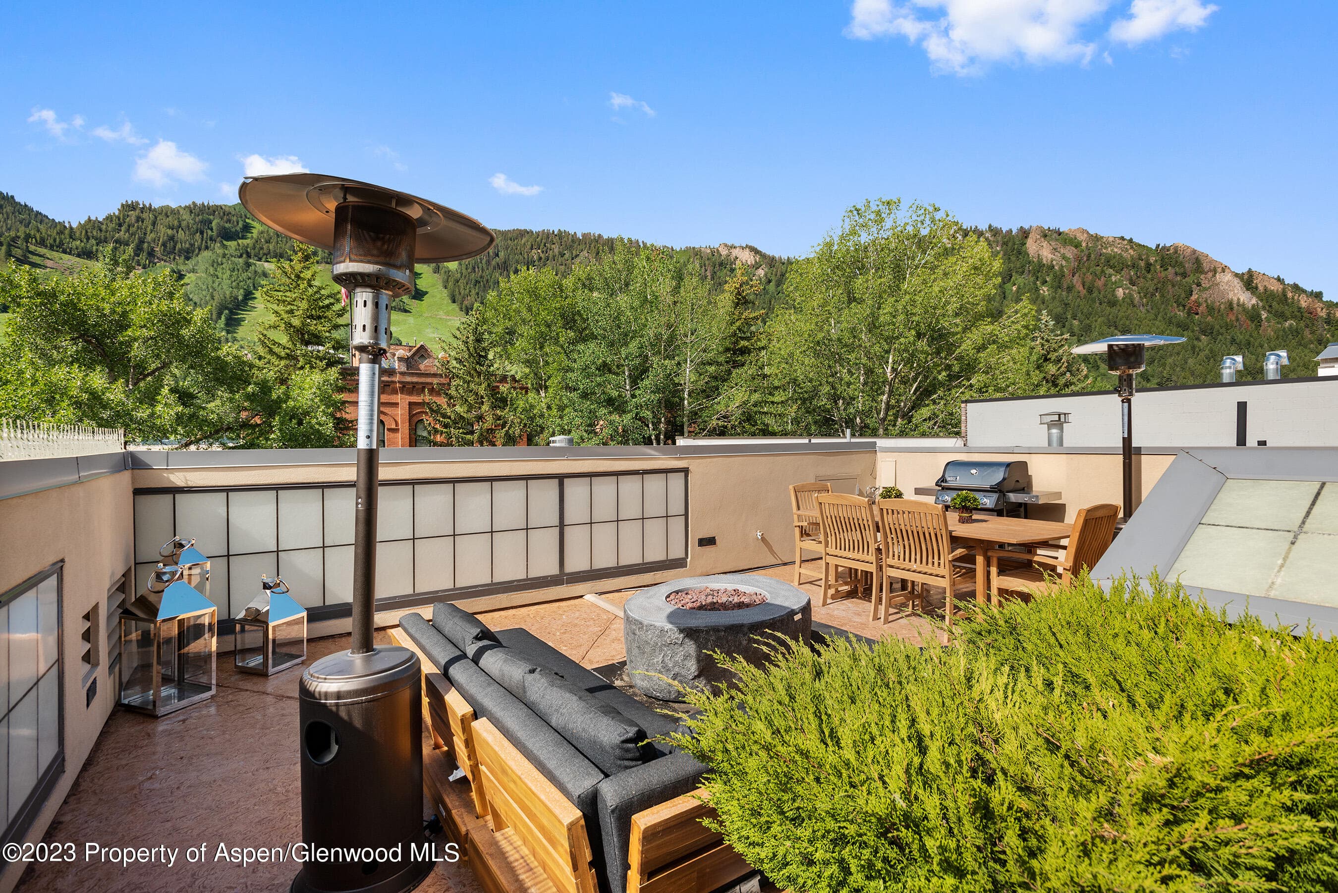 428 E Hyman Avenue A, Aspen, CO 81611 - Photo 29