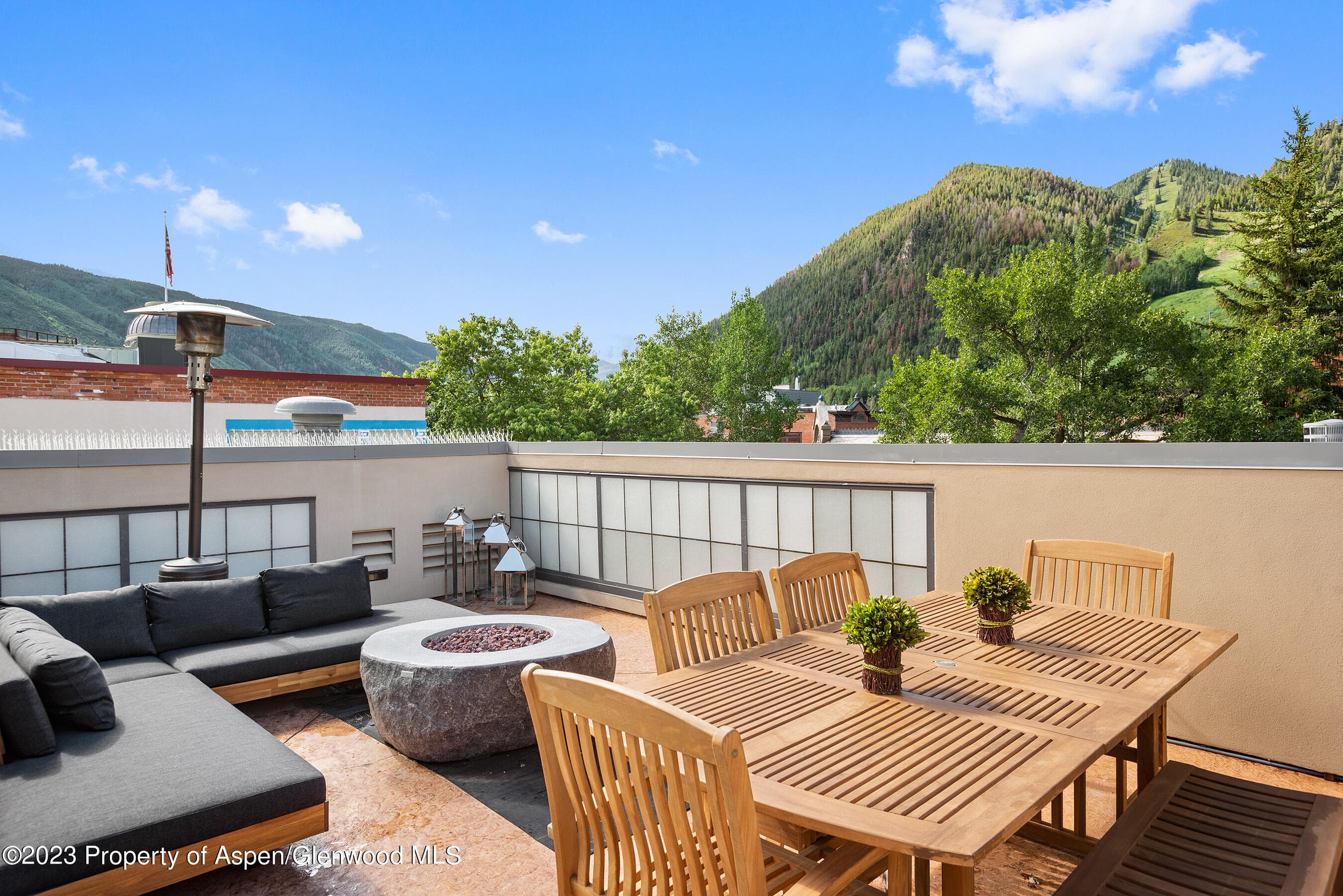 428 E Hyman Avenue A, Aspen, CO 81611 - Photo 30