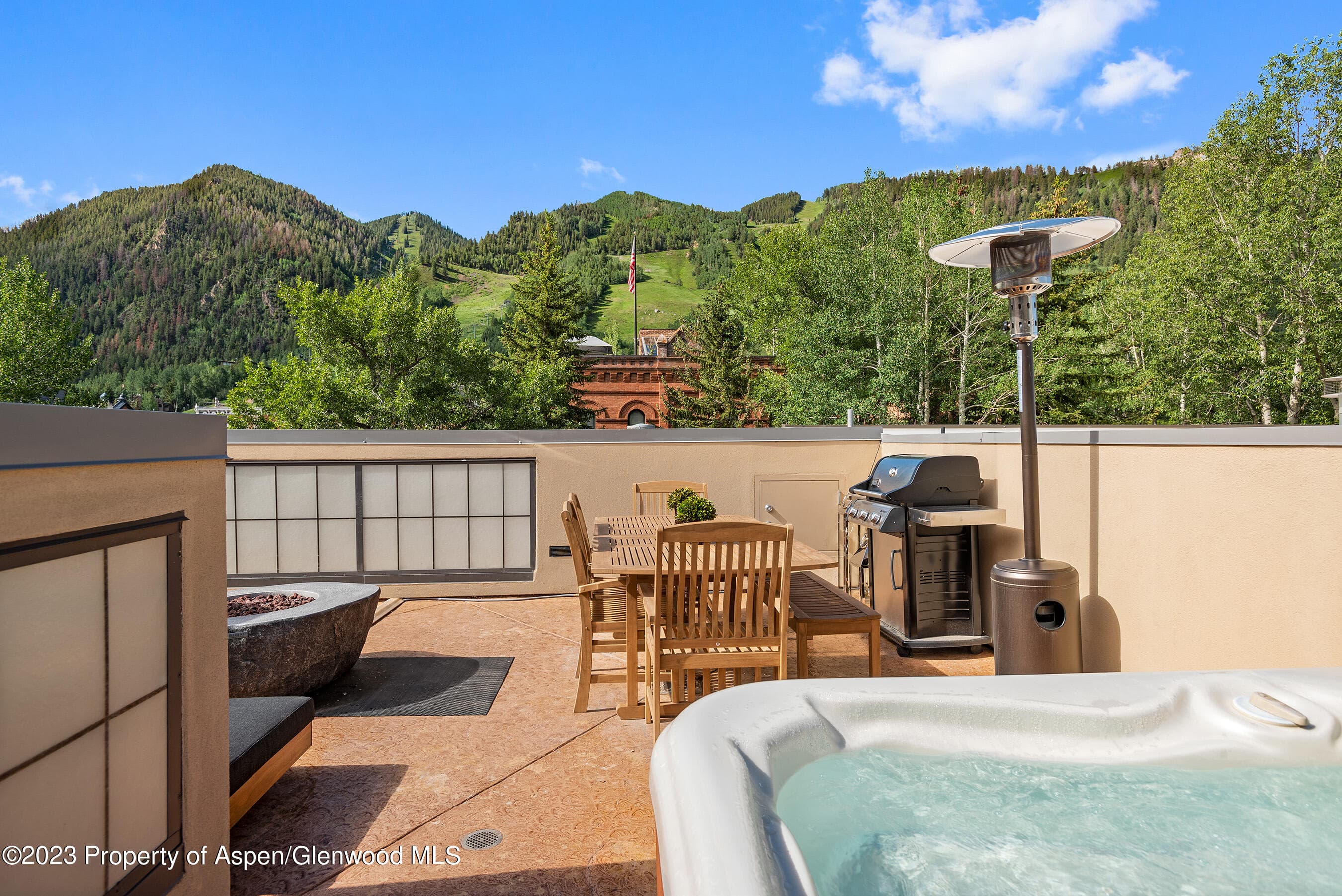 428 E Hyman Avenue A, Aspen, CO 81611 - Photo 15
