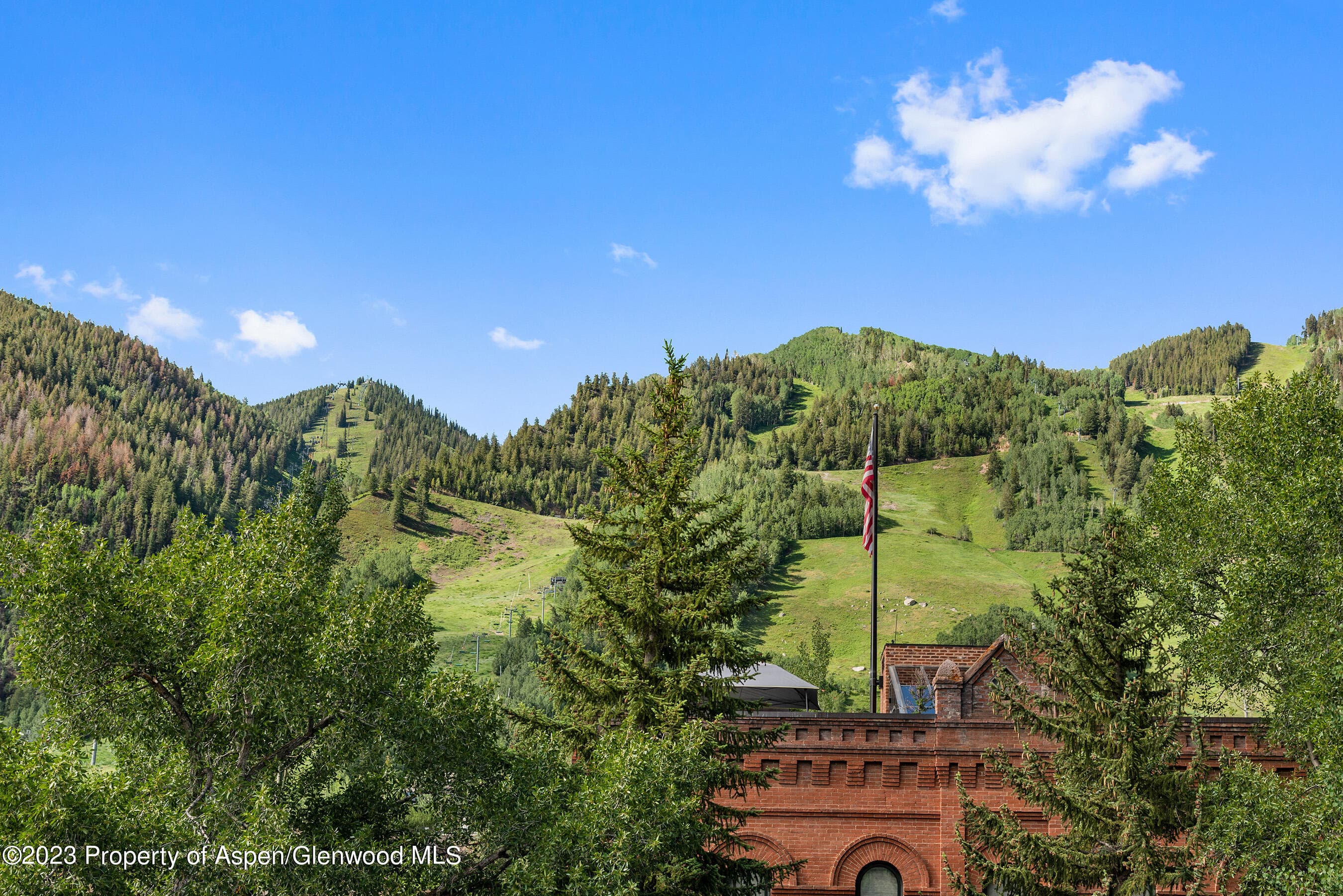 428 E Hyman Avenue A, Aspen, CO 81611 - Photo 28