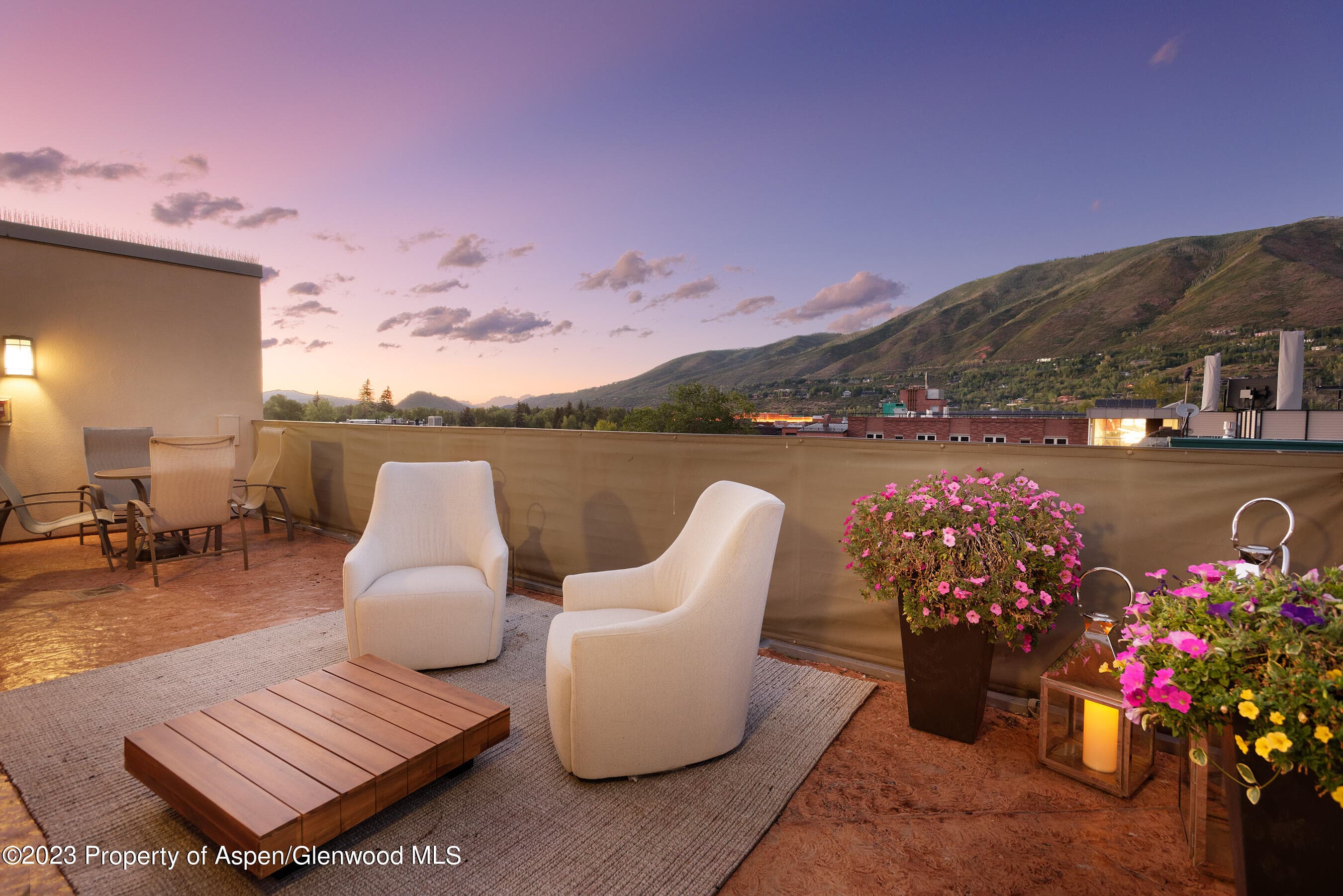 428 E Hyman Avenue A, Aspen, CO 81611 - Photo 14