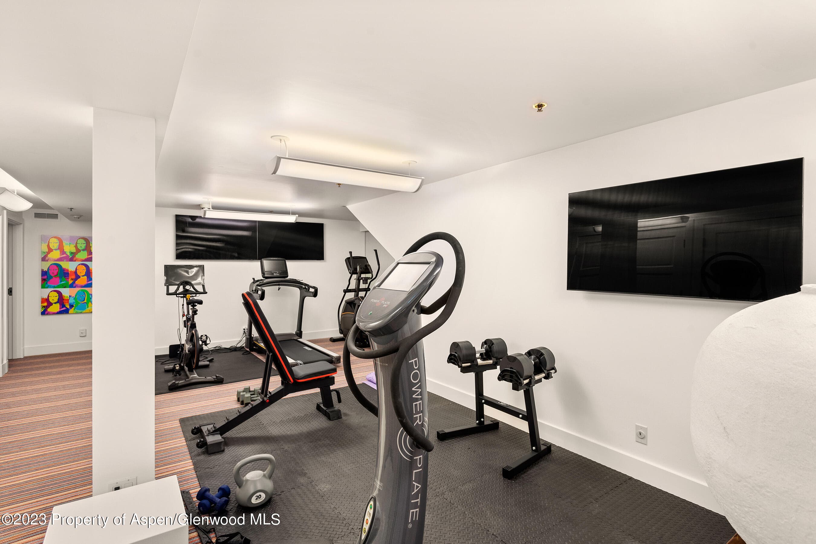 428 E Hyman Avenue A, Aspen, CO 81611 - Photo 41