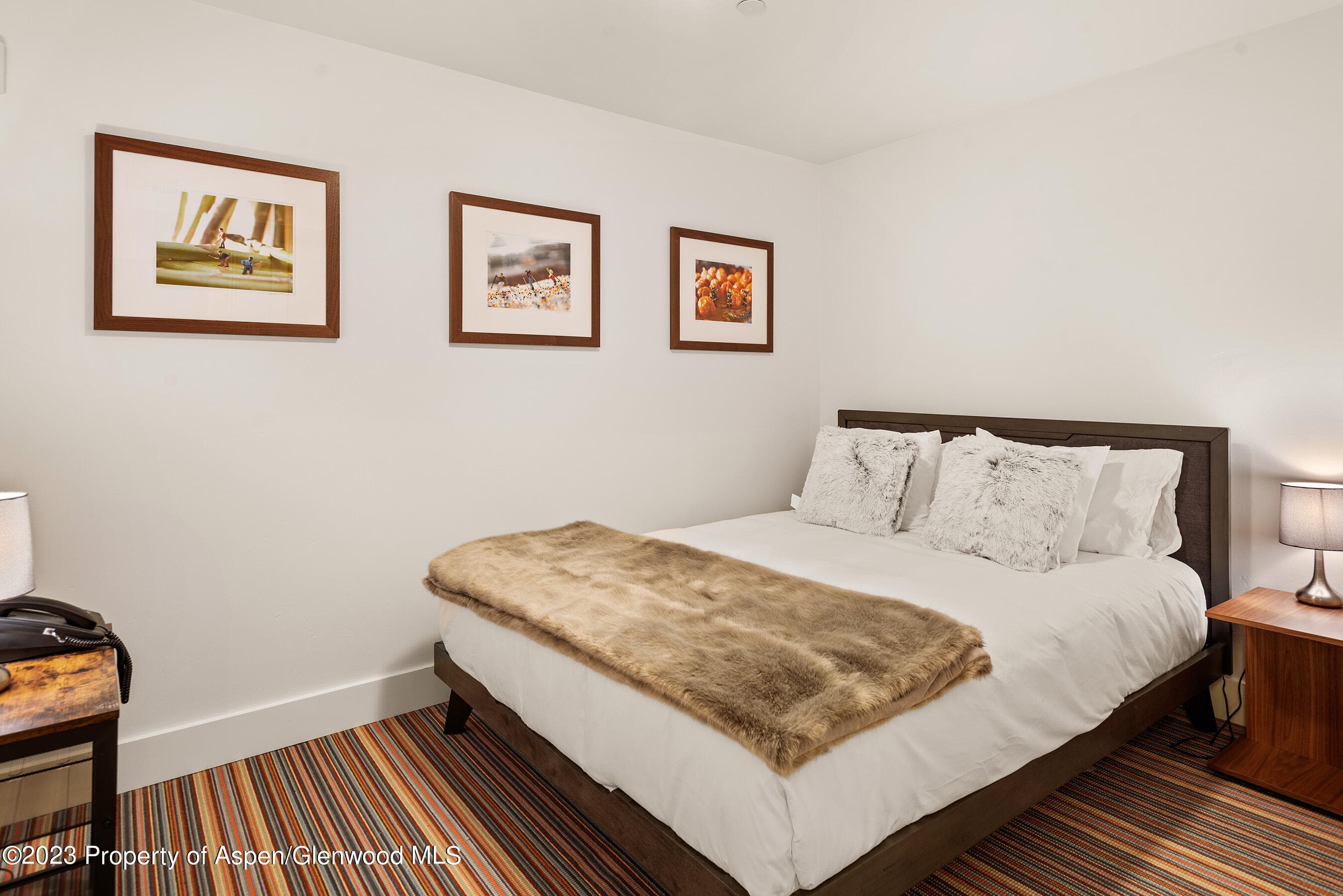 428 E Hyman Avenue A, Aspen, CO 81611 - Photo 37