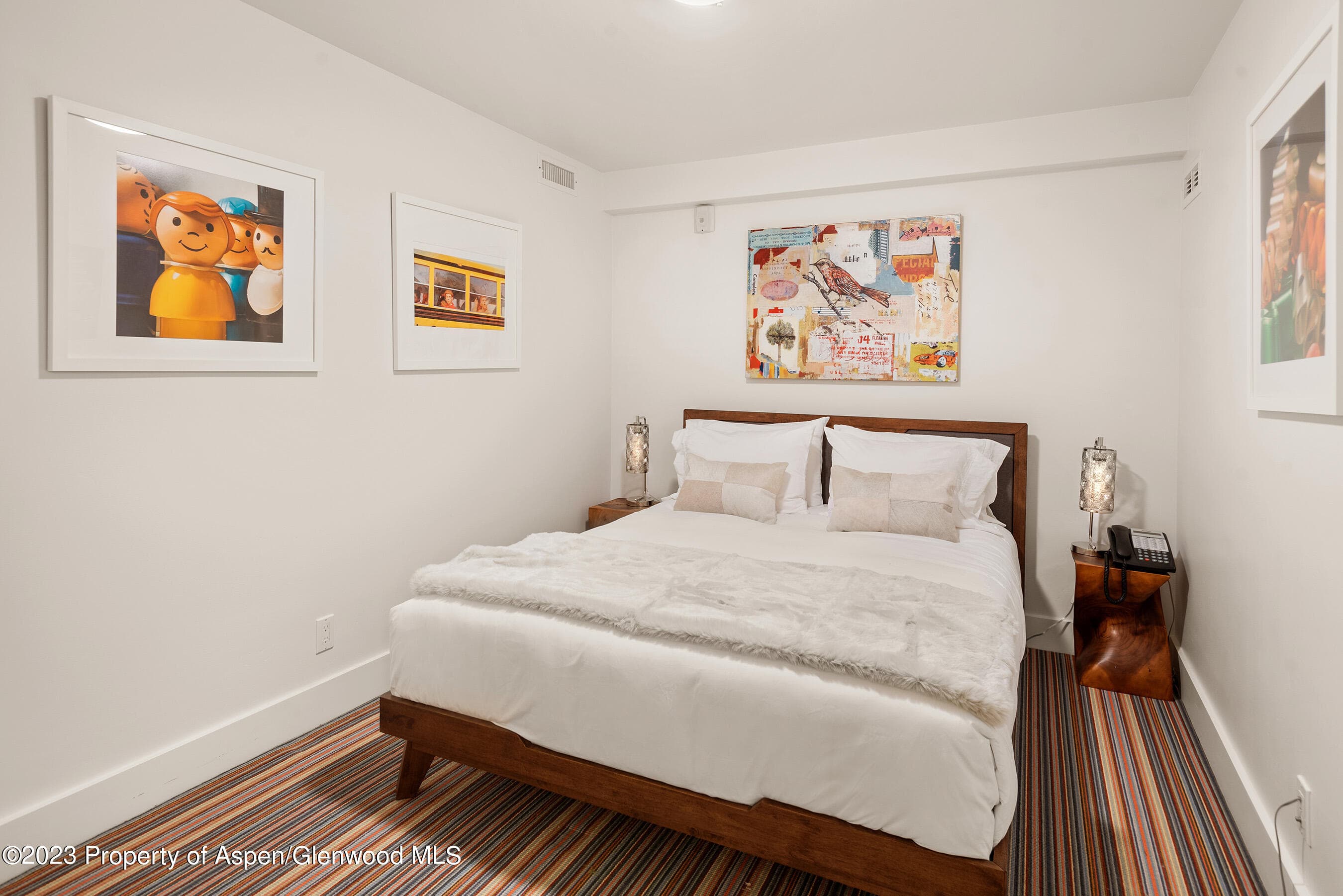 428 E Hyman Avenue A, Aspen, CO 81611 - Photo 38
