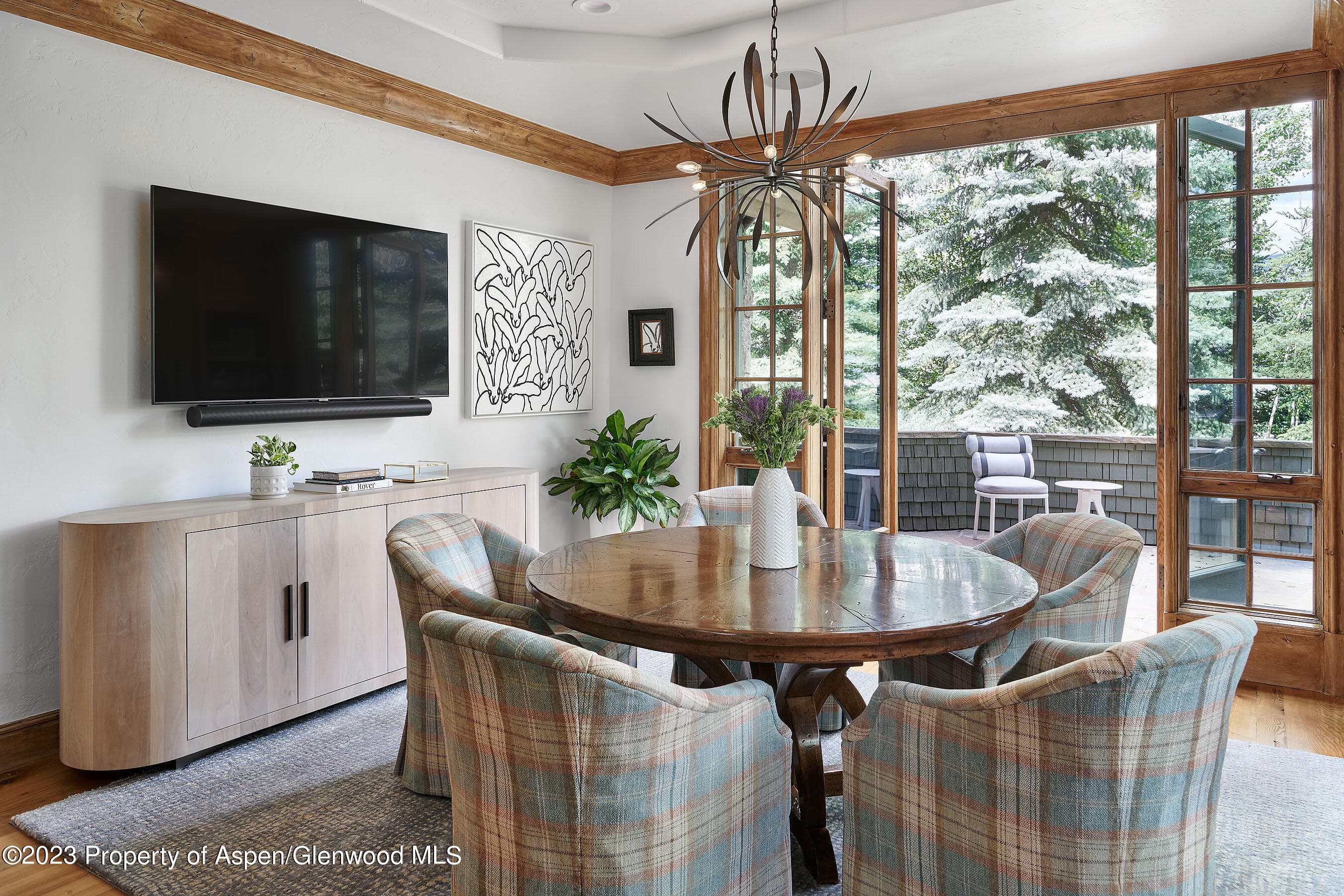 1230 S Tiehack Road, Aspen, CO 81611 - Photo 11
