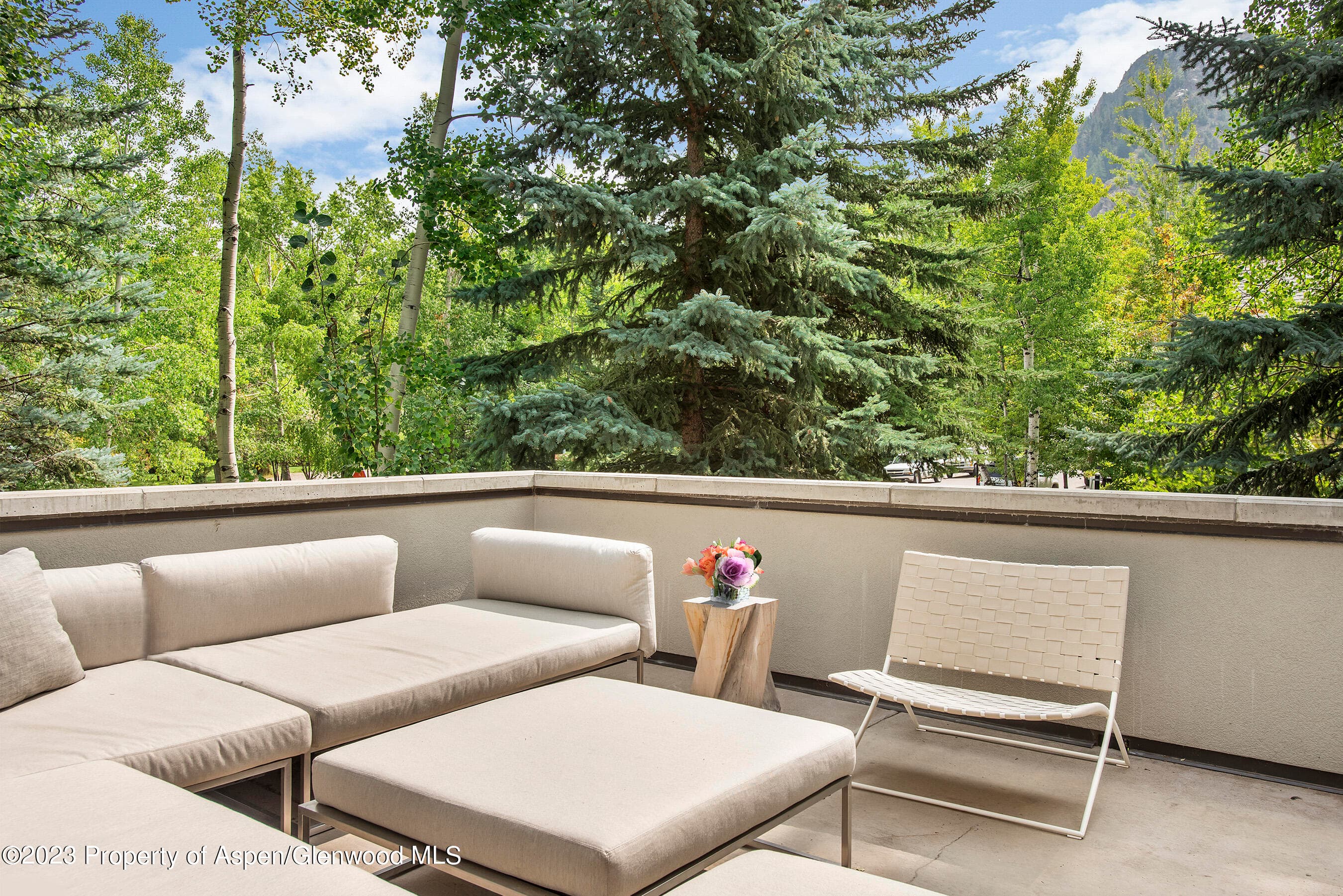 307 N Sixth Street, Aspen, CO 81611 - Photo 14