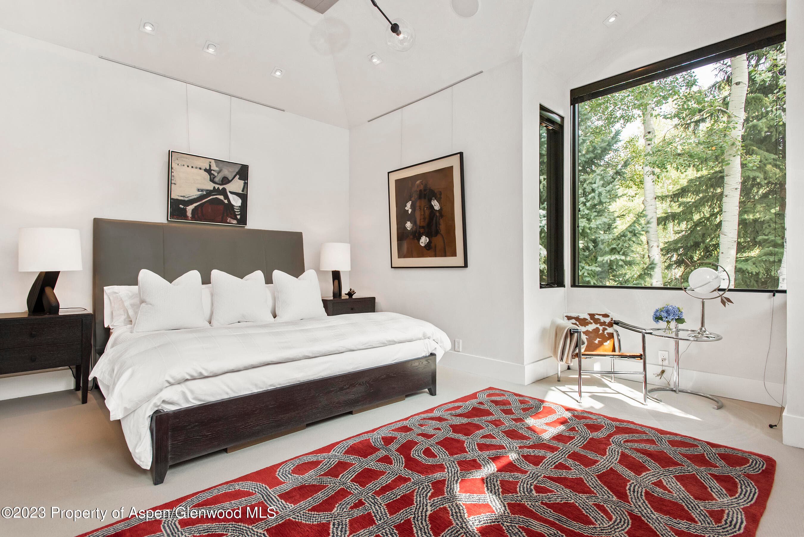 307 N Sixth Street, Aspen, CO 81611 - Photo 15