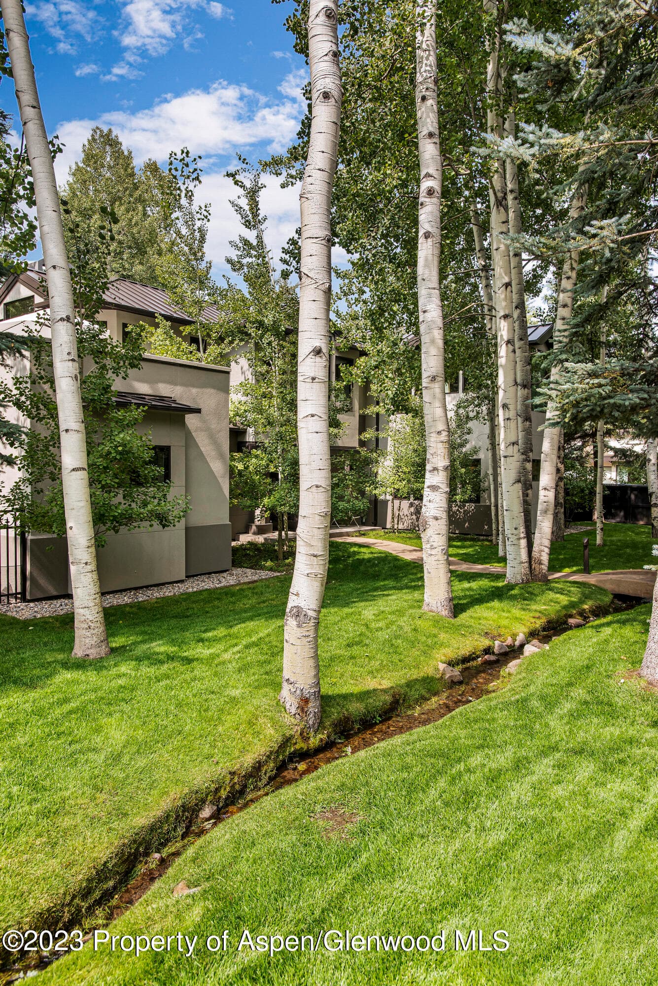 307 N Sixth Street, Aspen, CO 81611 - Photo 28