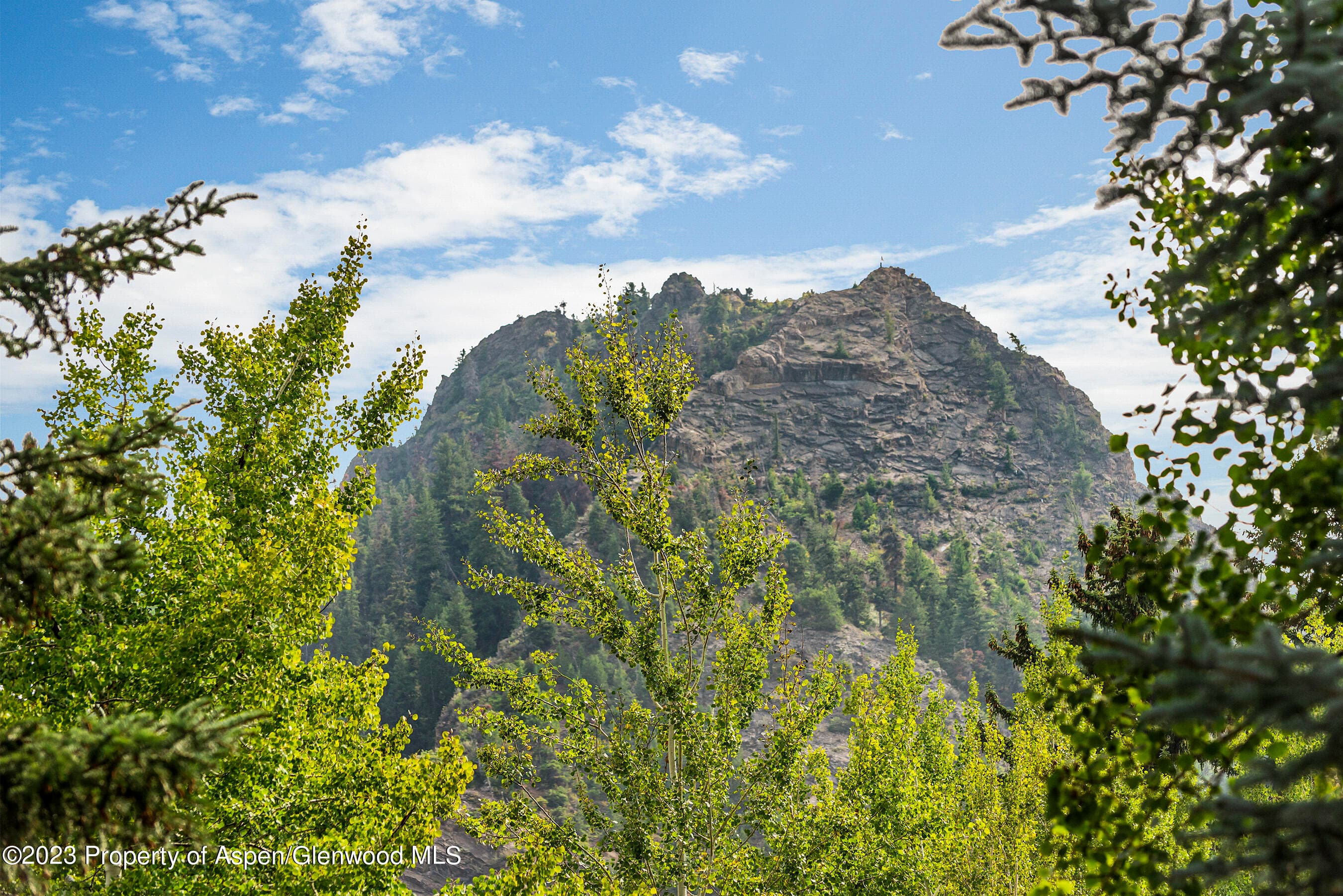 307 N Sixth Street, Aspen, CO 81611 - Photo 30