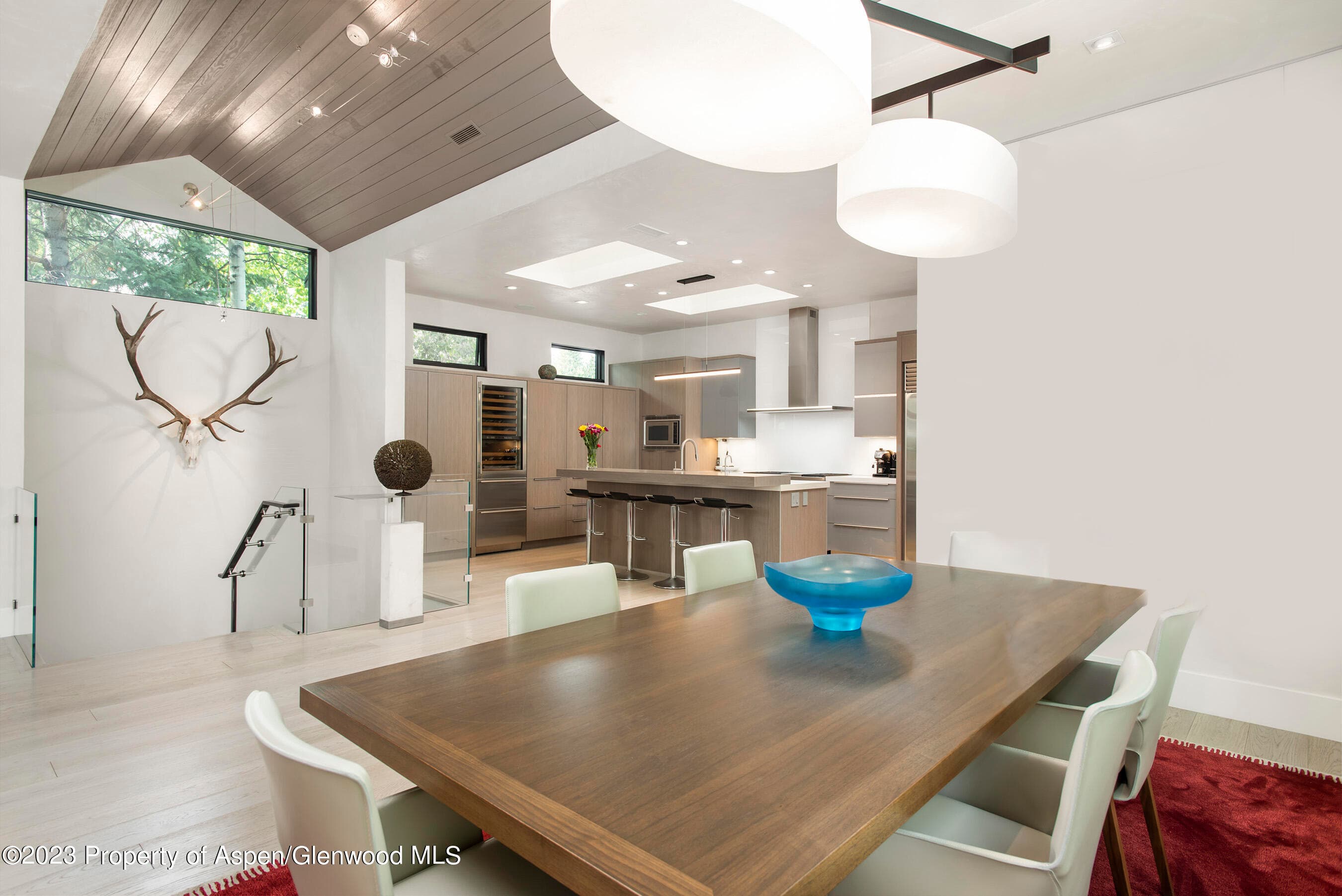 307 N Sixth Street, Aspen, CO 81611 - Photo 9