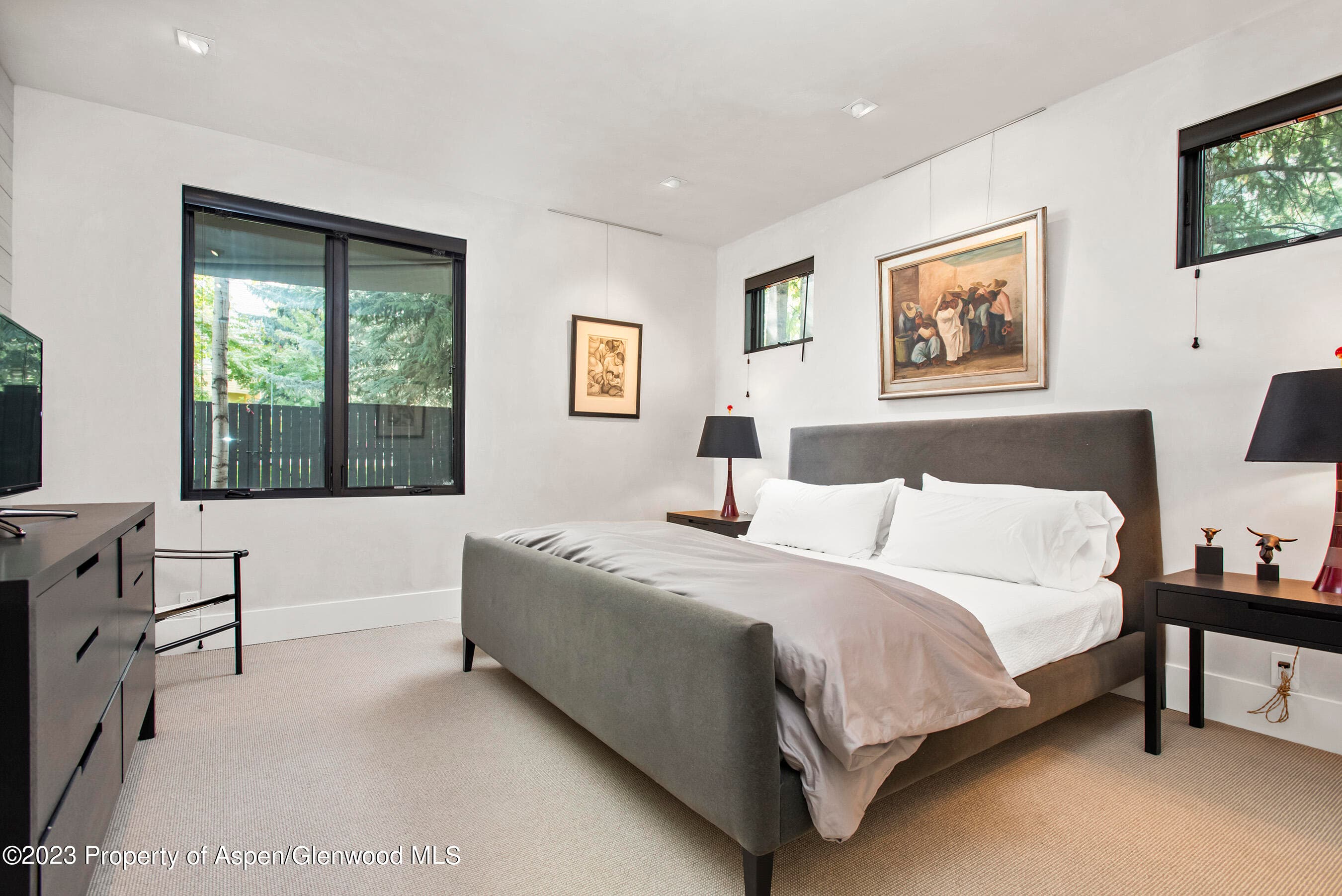 307 N Sixth Street, Aspen, CO 81611 - Photo 18