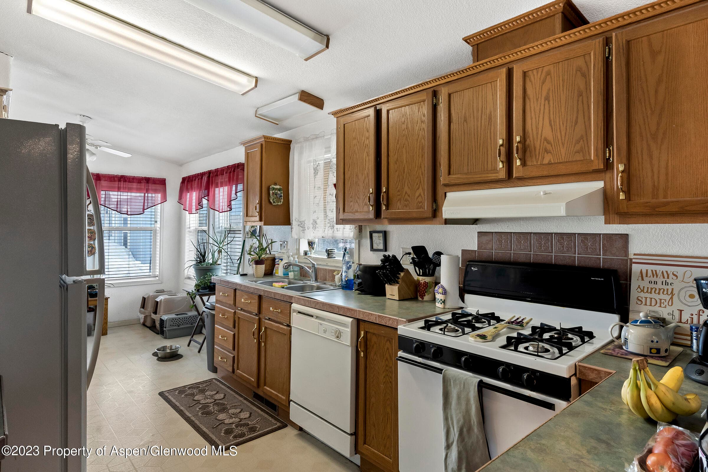 256 Field Street, Craig, CO 81625 - Photo 11