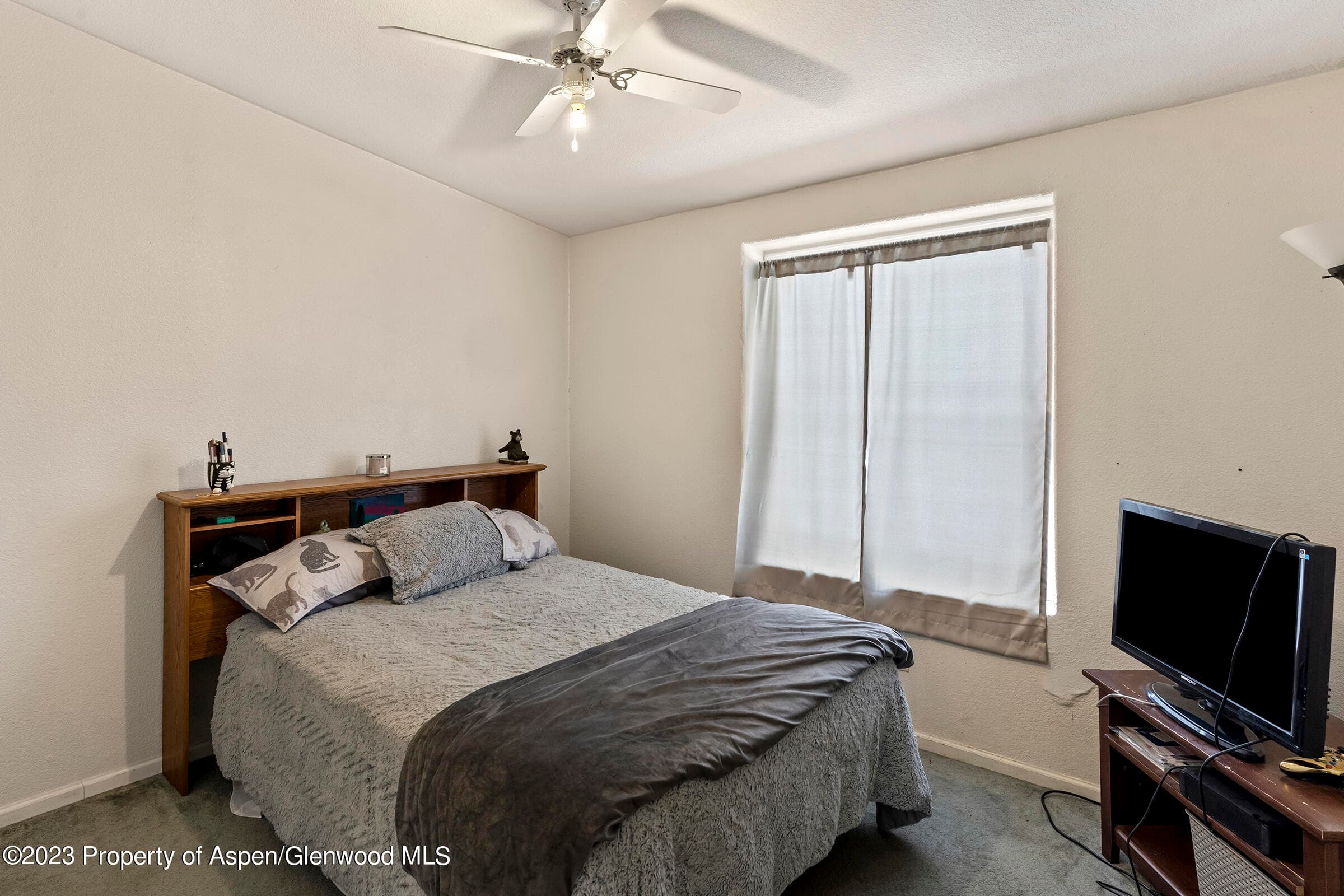 256 Field Street, Craig, CO 81625 - Photo 18