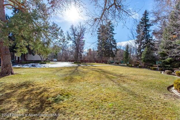 2470 E Cedar Avenue, Denver, CO 80209 - Photo 4