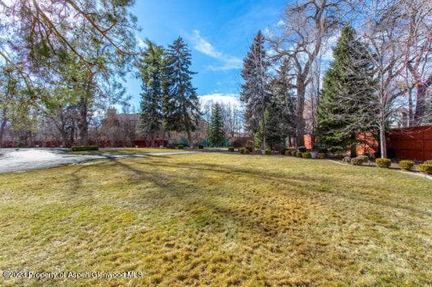 2470 E Cedar Avenue, Denver, CO 80209 - Photo 5