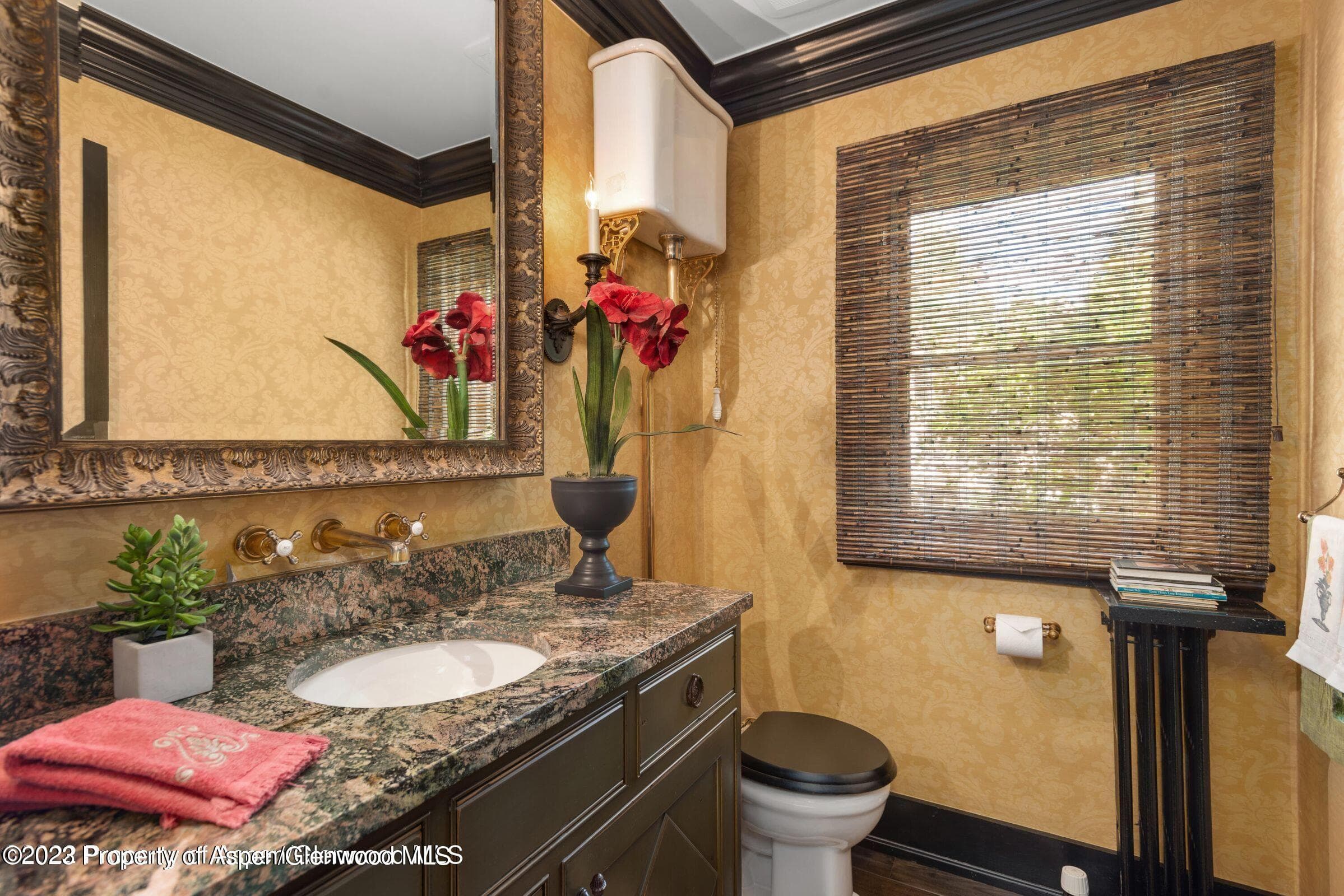 710 N 3rd Street, Aspen, CO 81611 - Photo 42