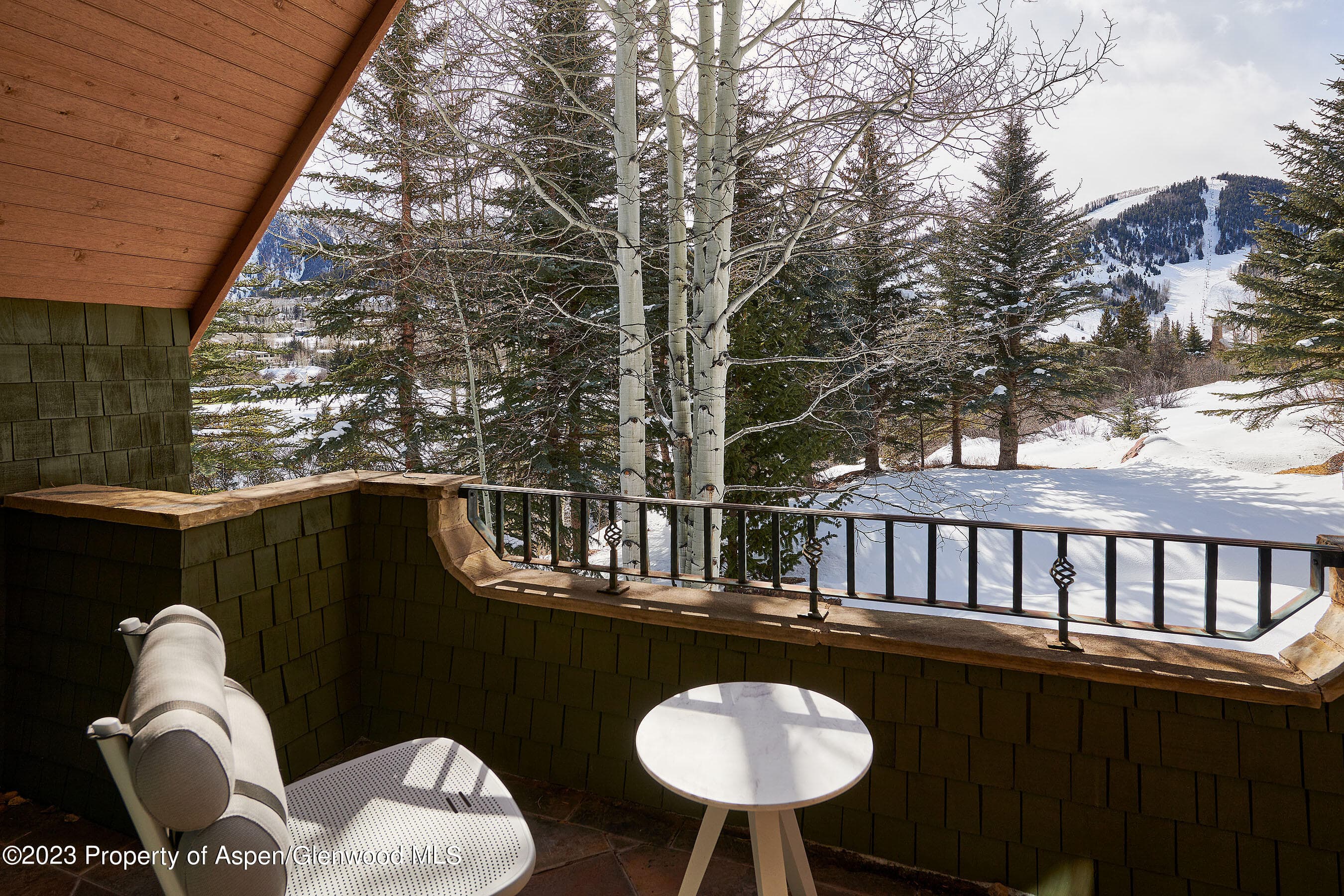 1230 S Tiehack Road, Aspen, CO 81611 - Photo 20