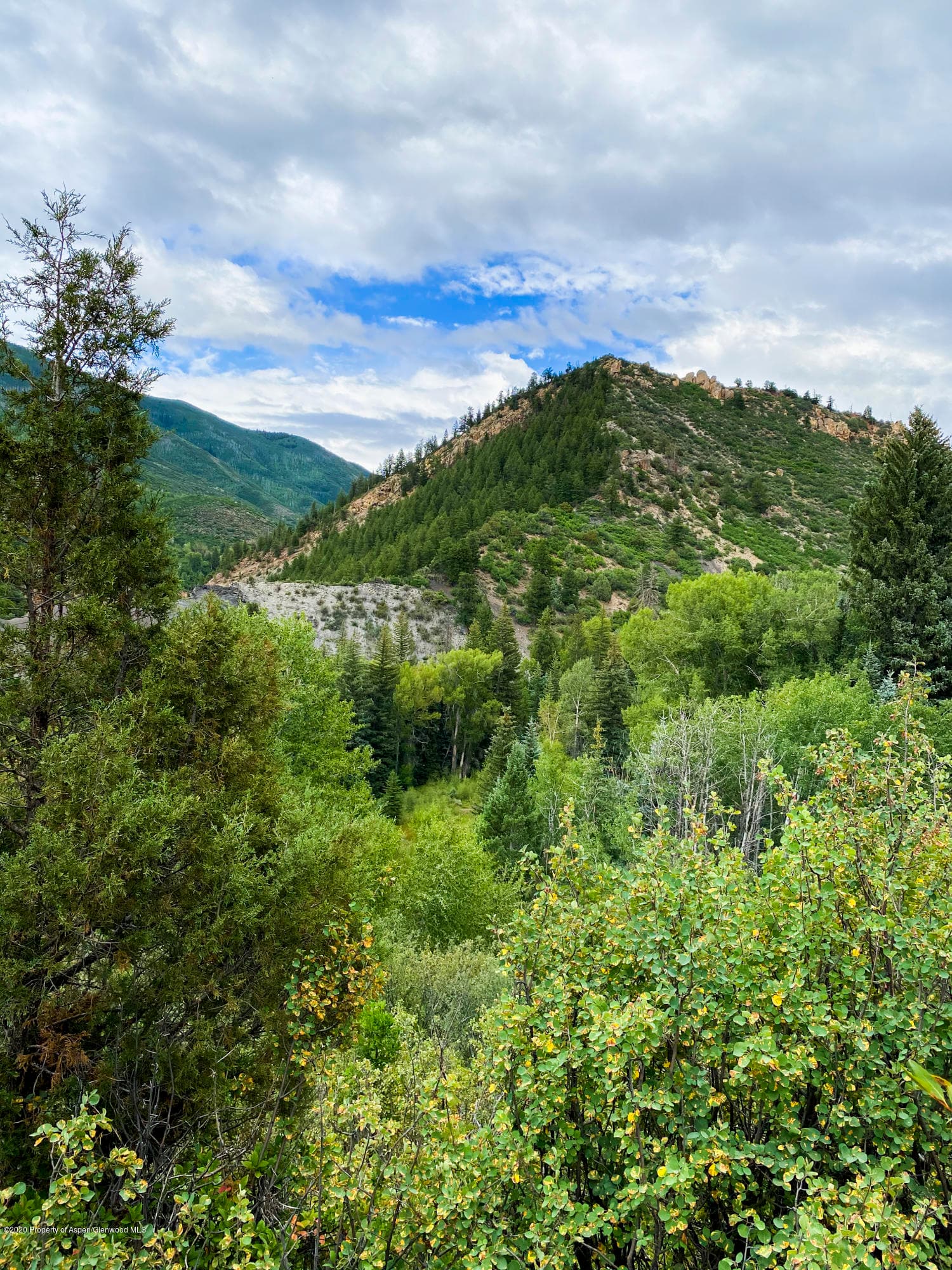 360 Coach Road, Aspen, CO 81611 - Photo 16