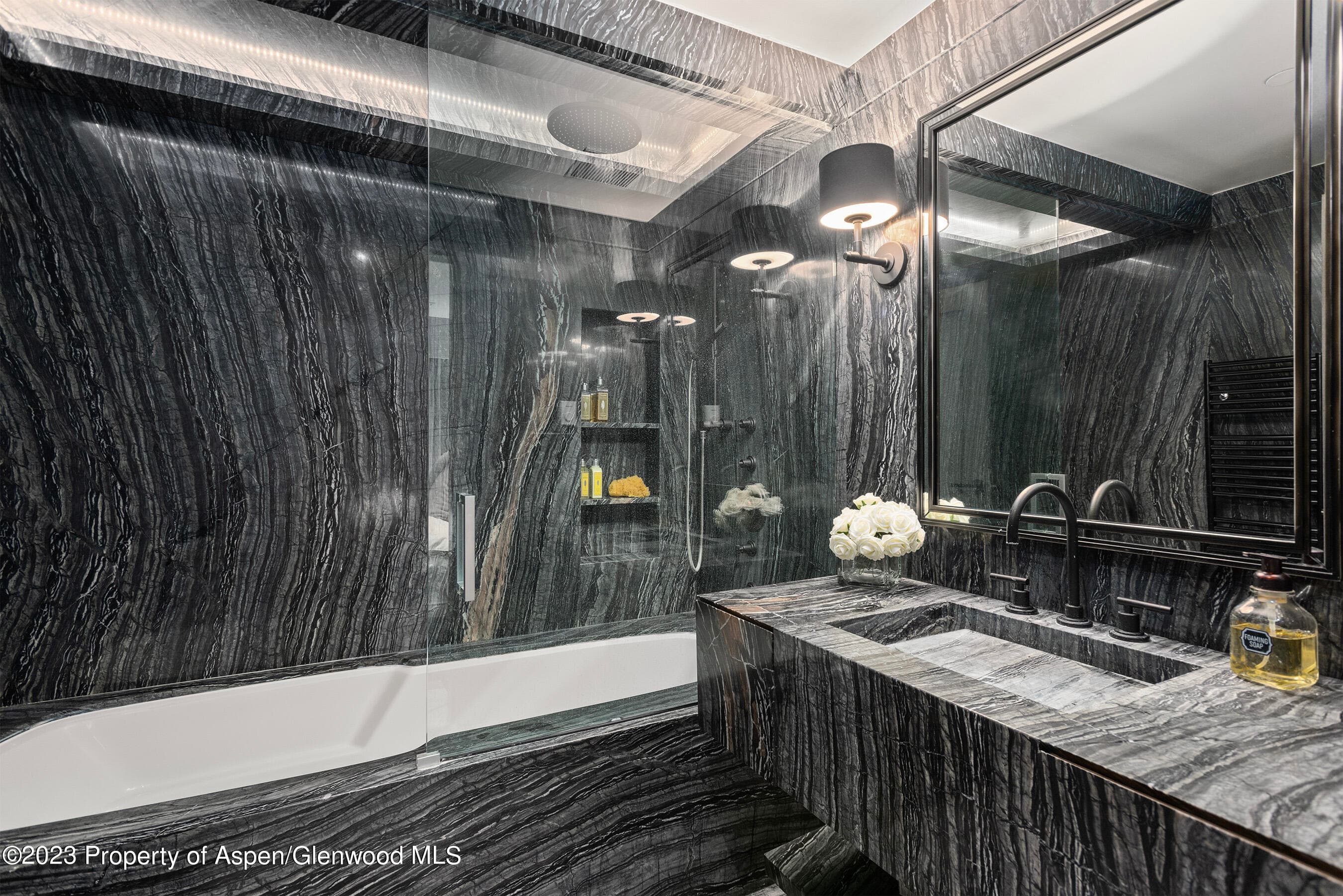 555 E Durant Avenue 2N, Aspen, CO 81611 - Photo 8