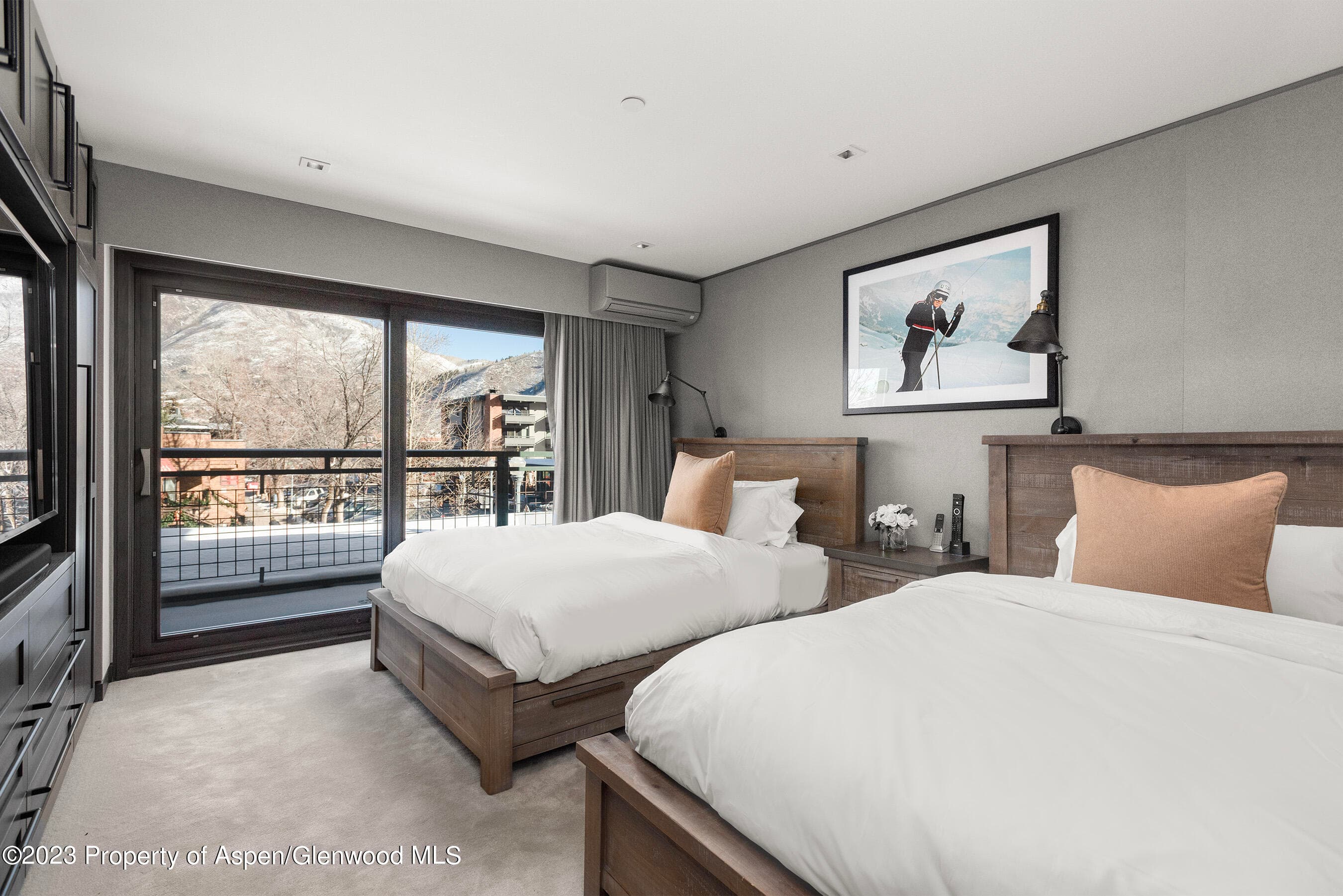 555 E Durant Avenue 2N, Aspen, CO 81611 - Photo 10