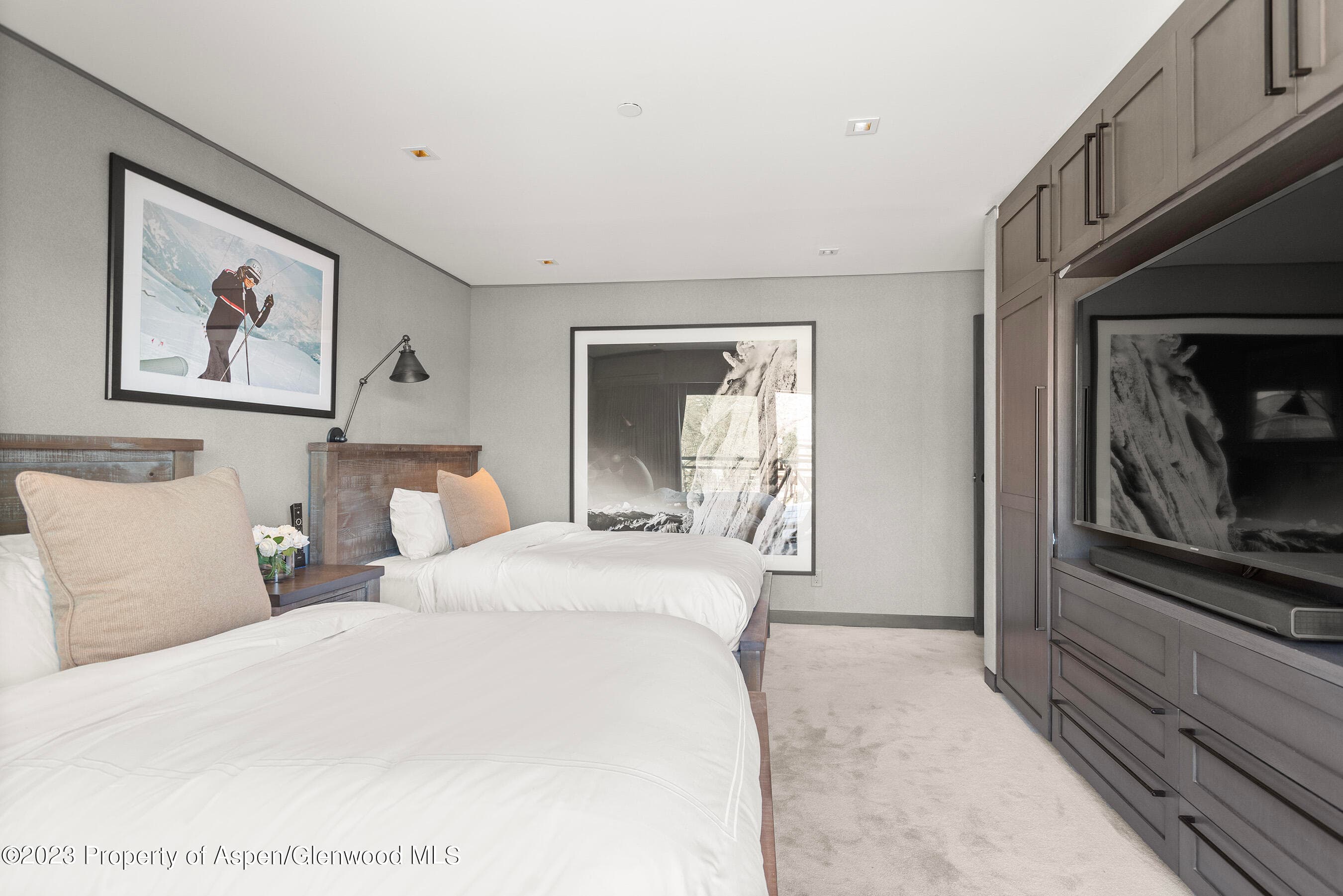 555 E Durant Avenue 2N, Aspen, CO 81611 - Photo 11