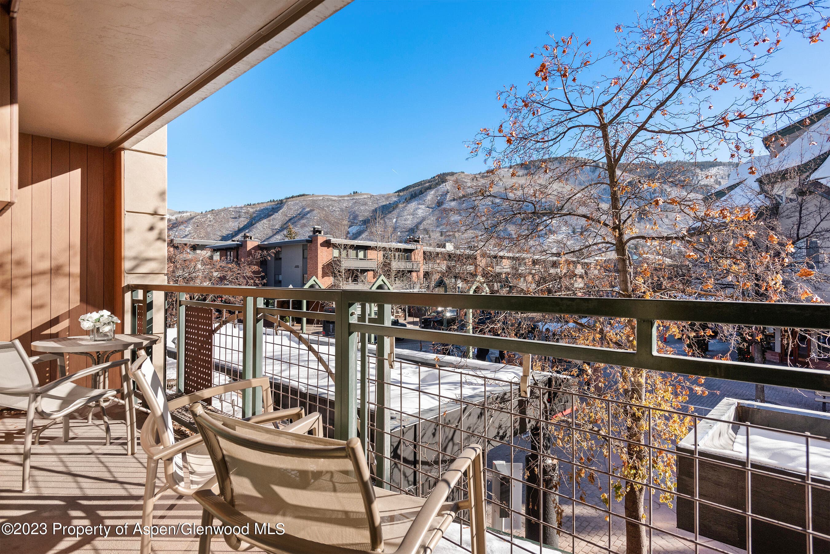 555 E Durant Avenue 2N, Aspen, CO 81611 - Photo 15