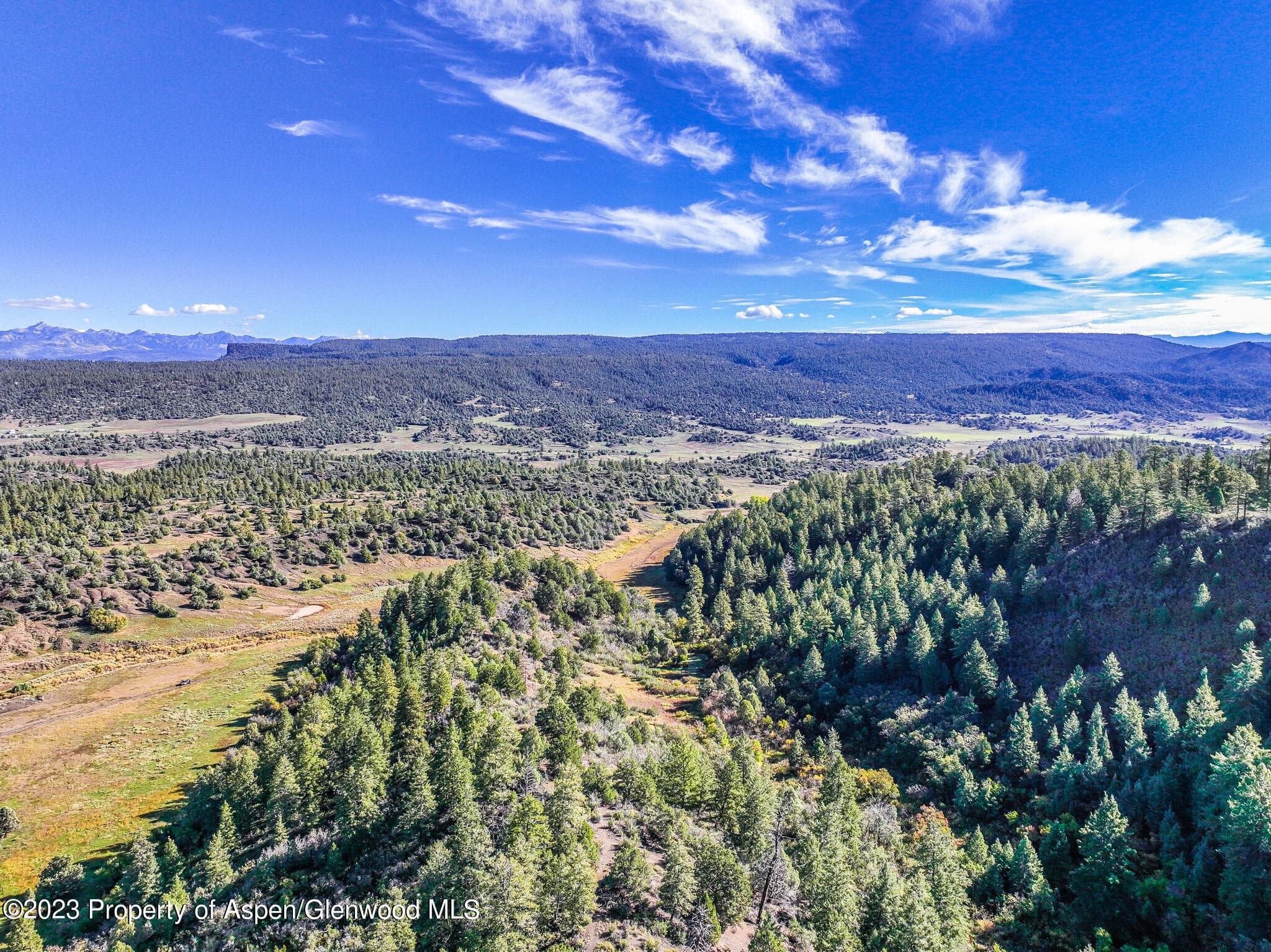 TBD 700 County Road Cat Creek Road, Pagosa Springs, CO 81147 - Photo 2