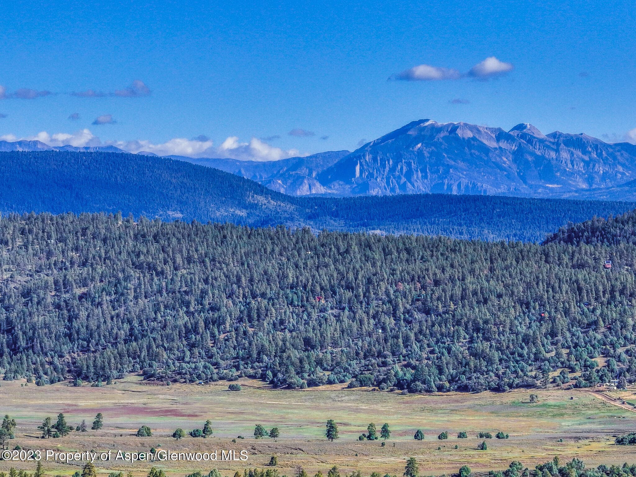 TBD 700 County Road Cat Creek Road, Pagosa Springs, CO 81147 - Photo 3