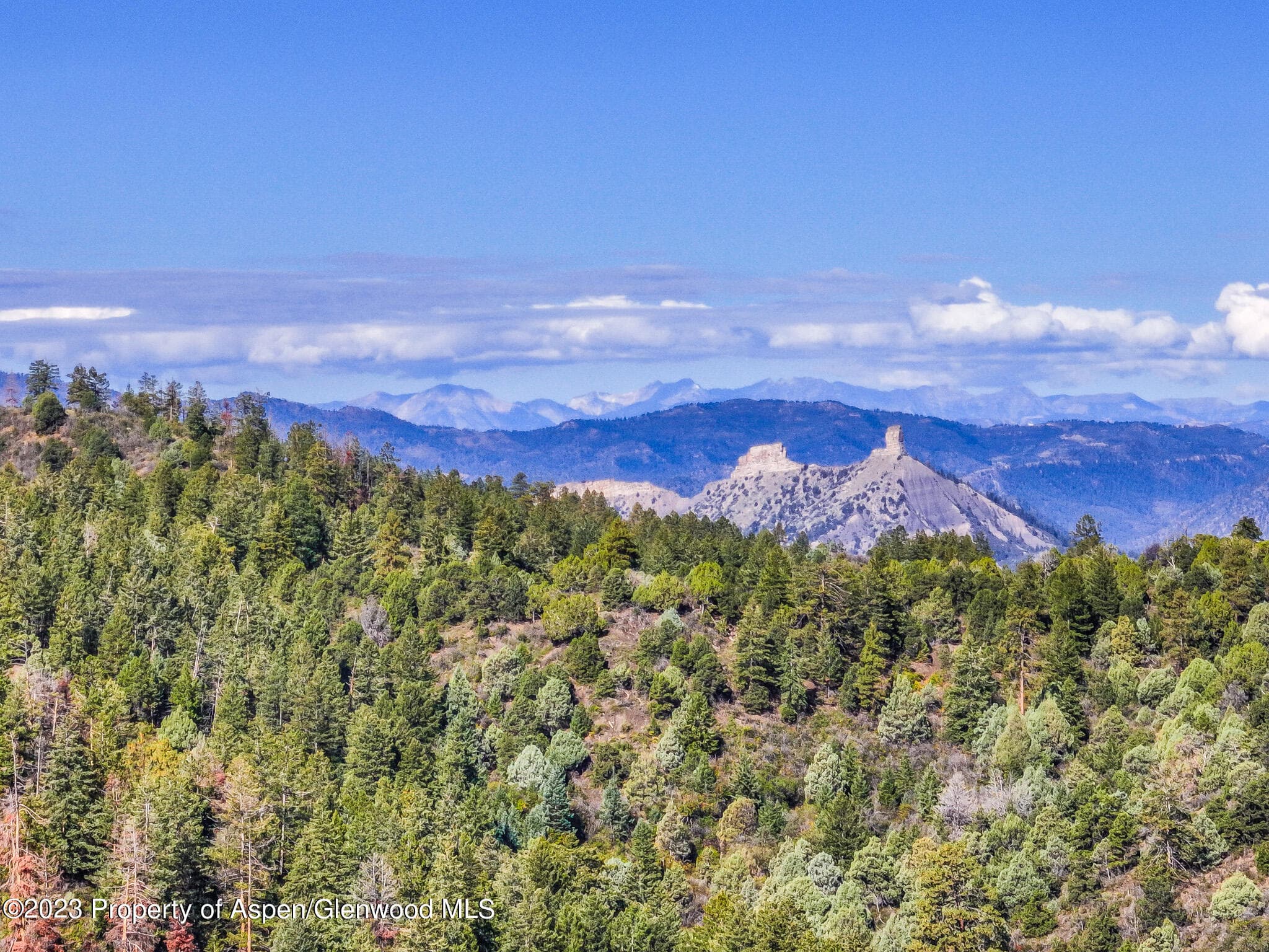 TBD 700 County Road Cat Creek Road, Pagosa Springs, CO 81147 - Photo 4